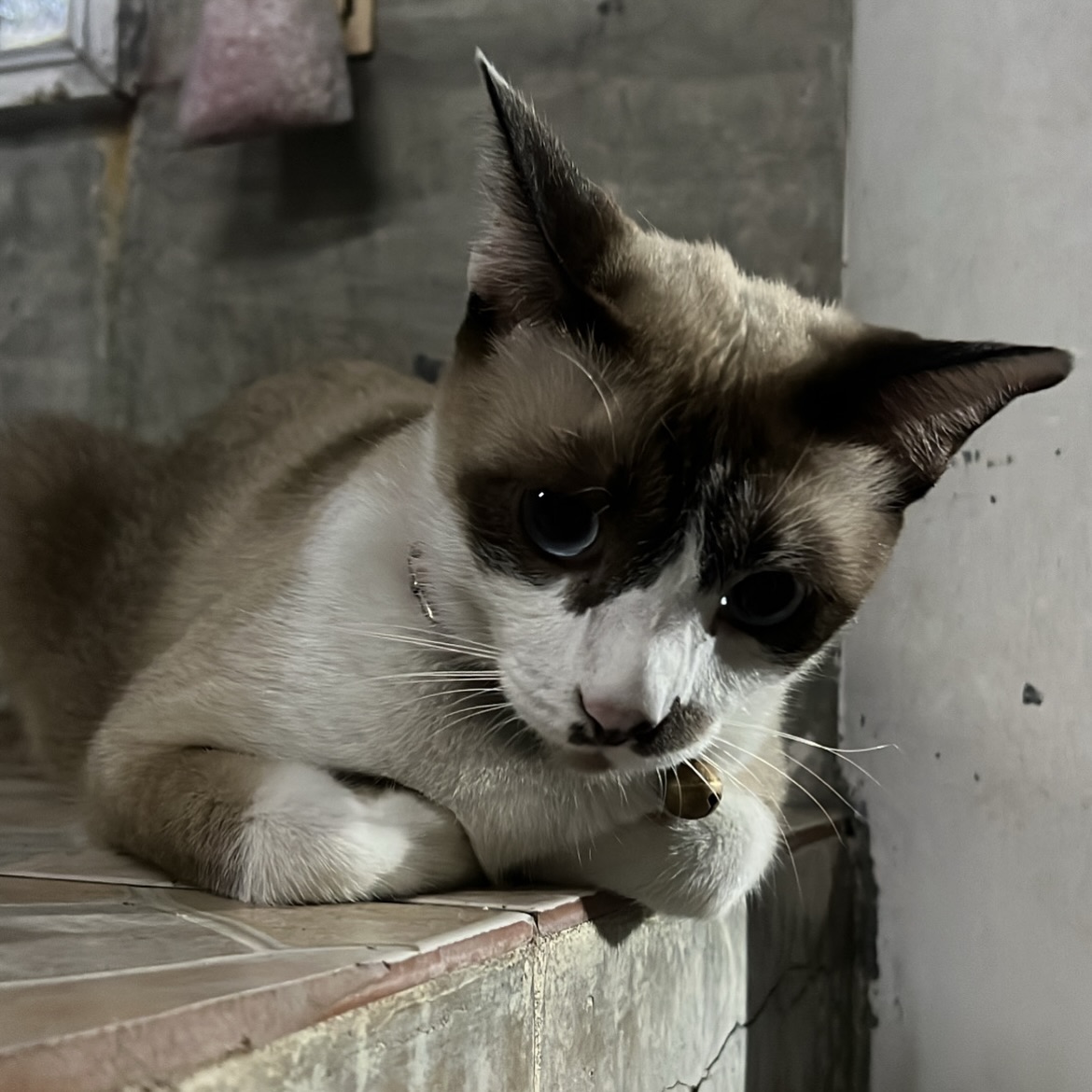 กลัฟ - คณาวุฒิ ไตรพิพัฒนพงษ์