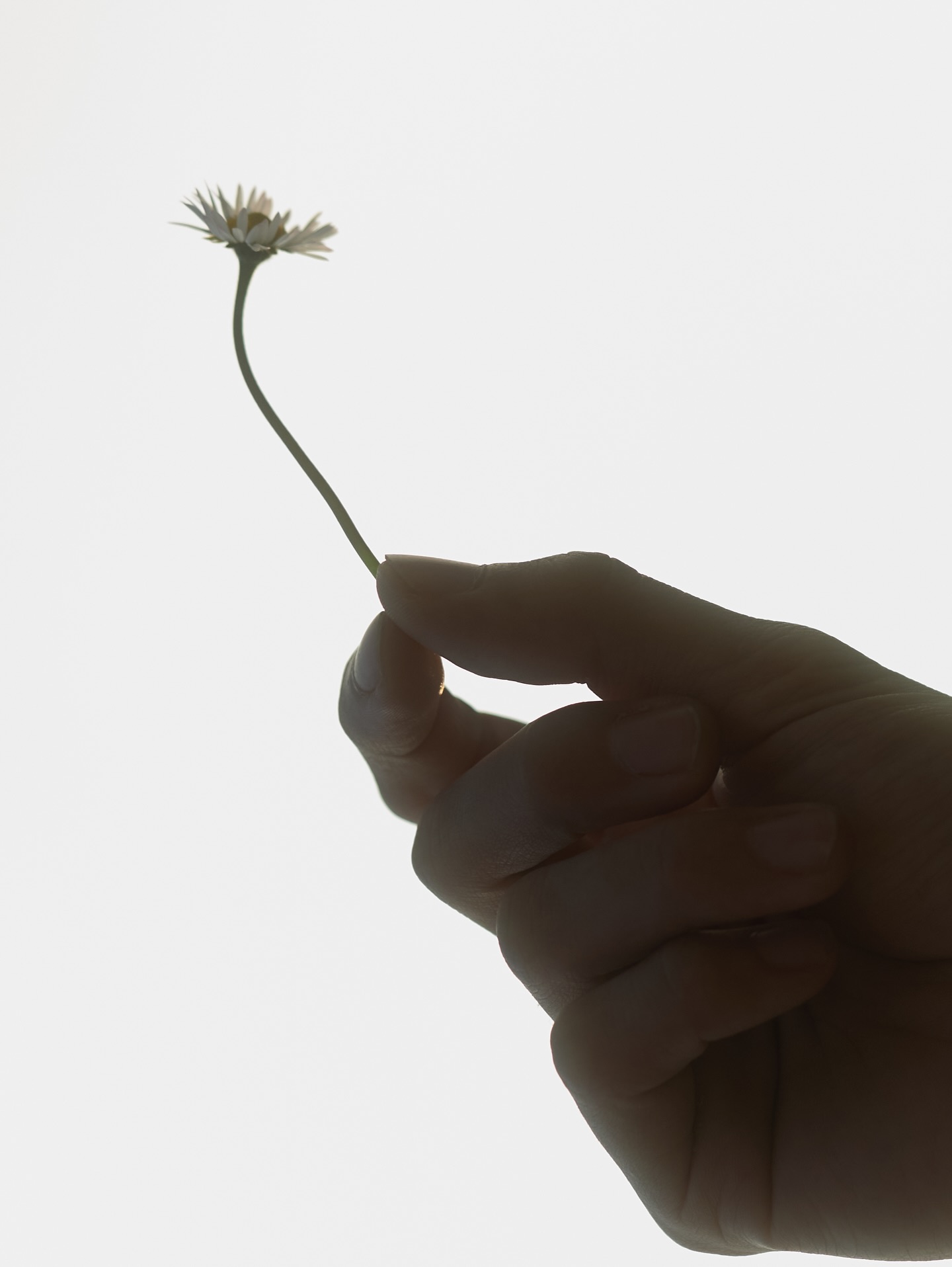 กลัฟ - คณาวุฒิ ไตรพิพัฒนพงษ์