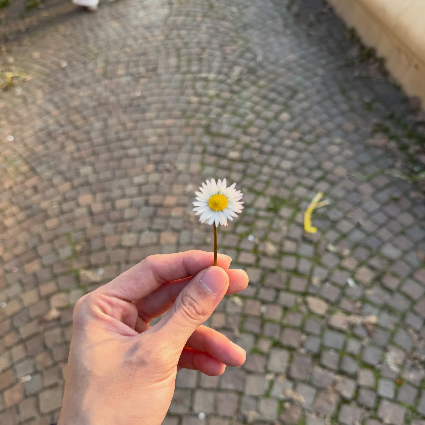 กลัฟ - คณาวุฒิ ไตรพิพัฒนพงษ์