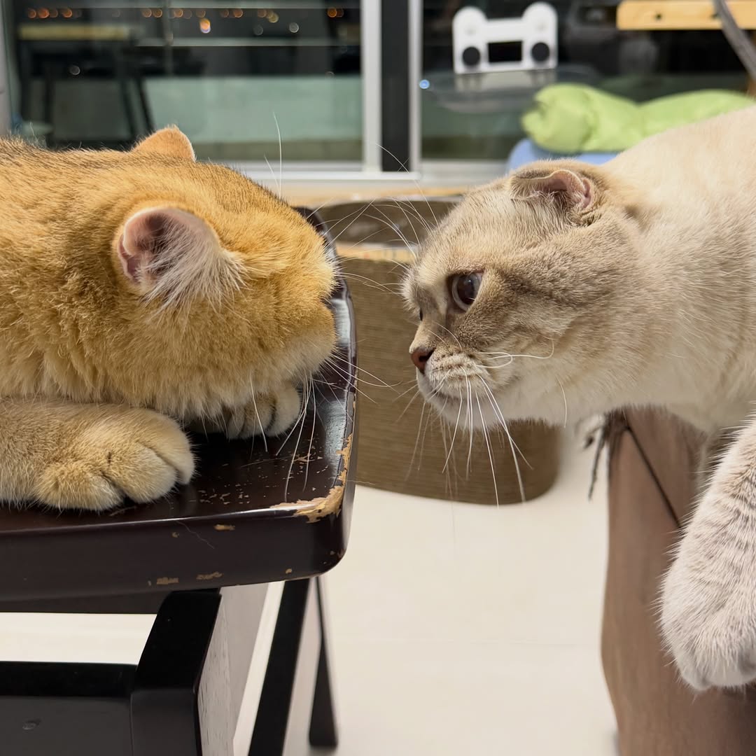 กลัฟ - คณาวุฒิ ไตรพิพัฒนพงษ์