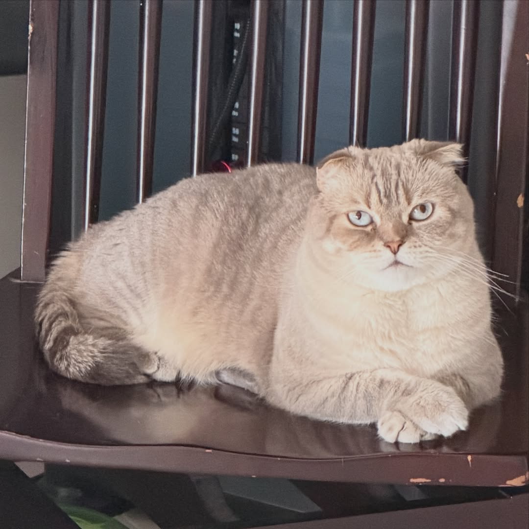 กลัฟ - คณาวุฒิ ไตรพิพัฒนพงษ์