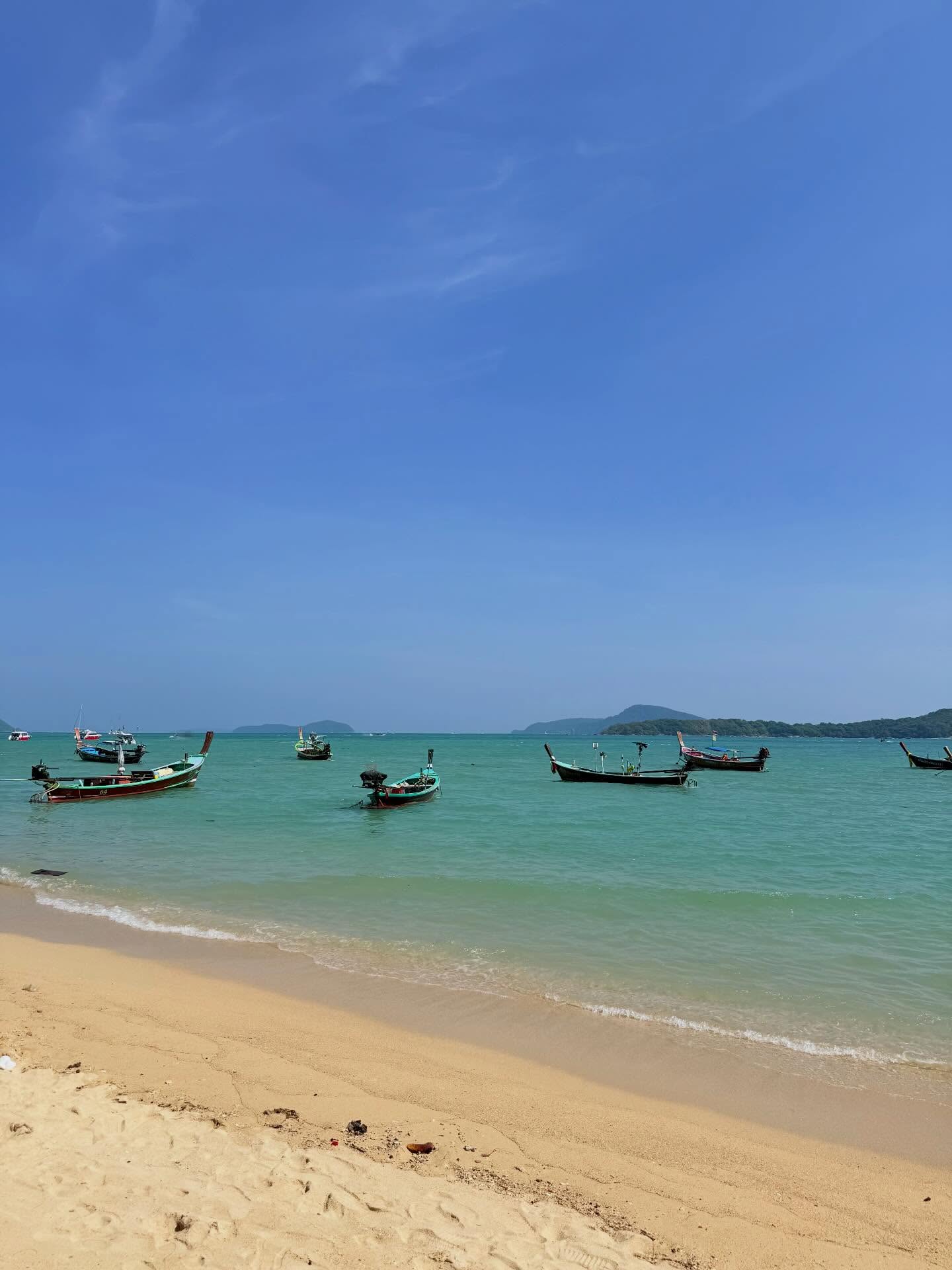 เทีย ทวีพาณิชย์พันธุ์