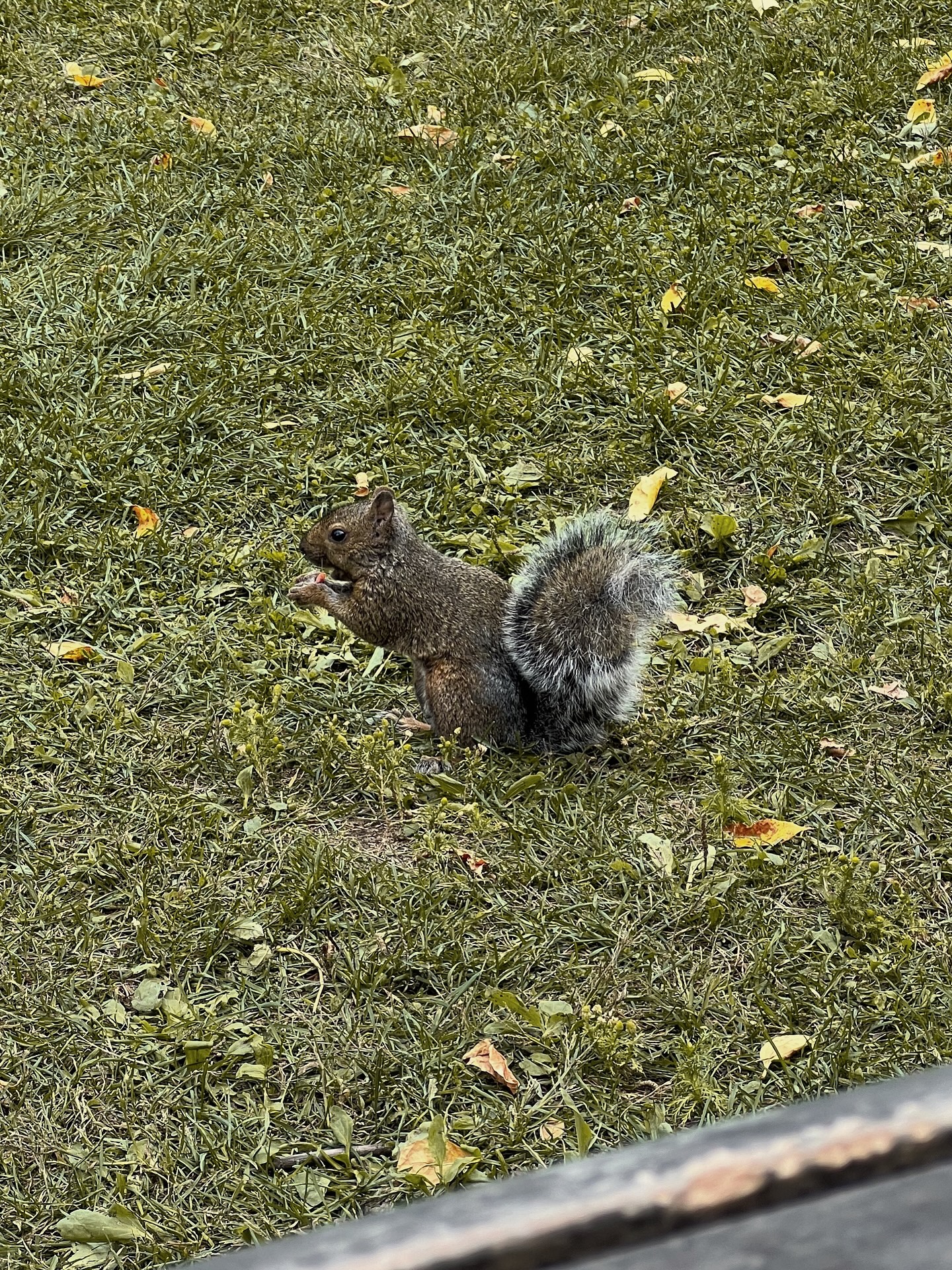 แป้งโกะ - จินตนัดดา ลัมะกานนท์