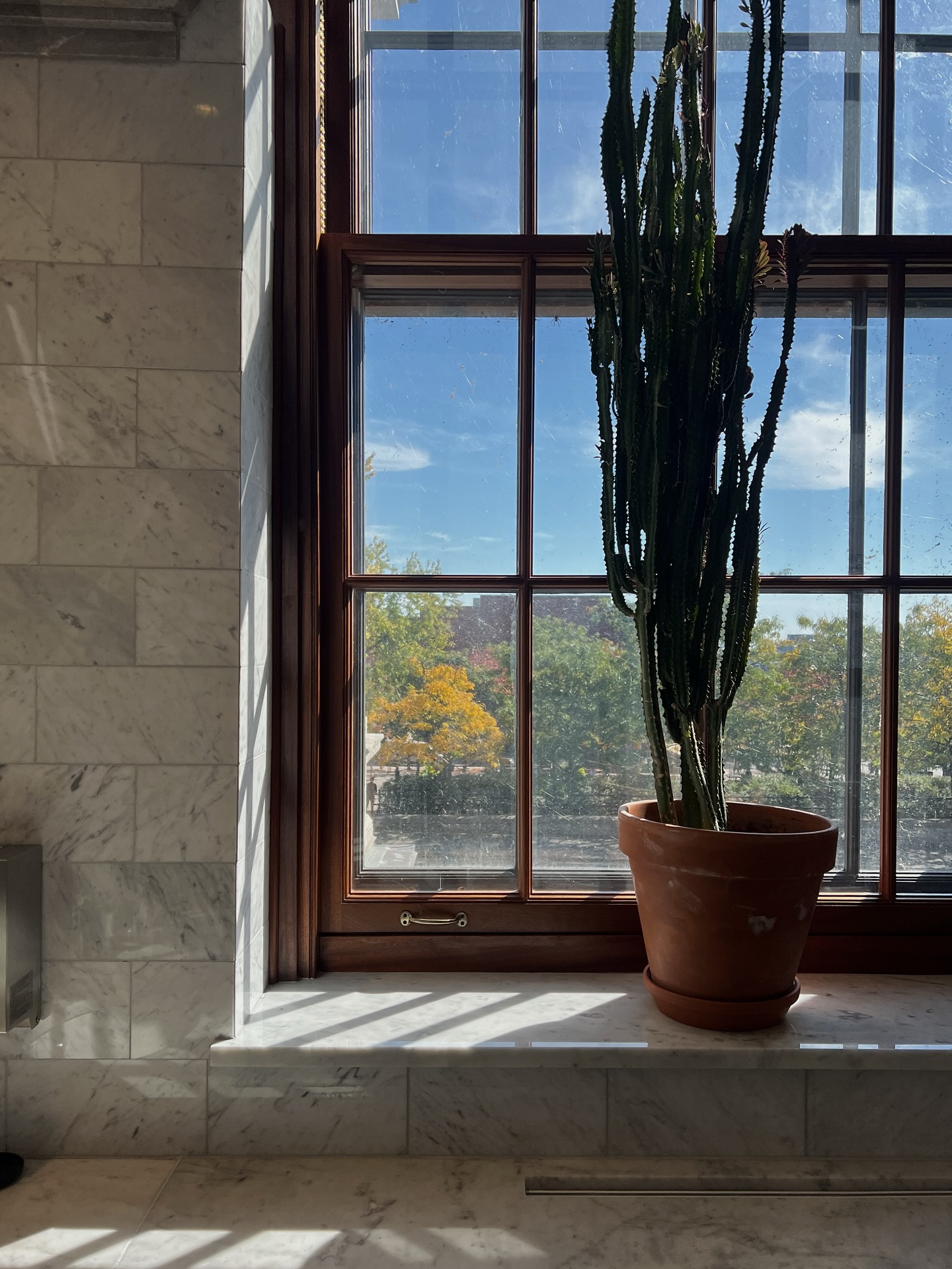 แป้งโกะ - จินตนัดดา ลัมะกานนท์