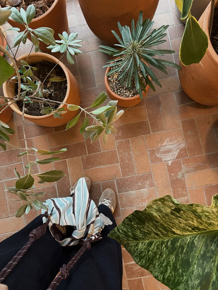 แป้งโกะ - จินตนัดดา ลัมะกานนท์