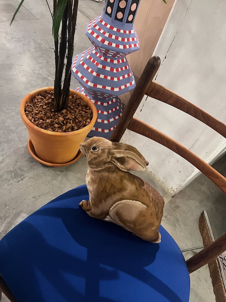 แป้งโกะ - จินตนัดดา ลัมะกานนท์