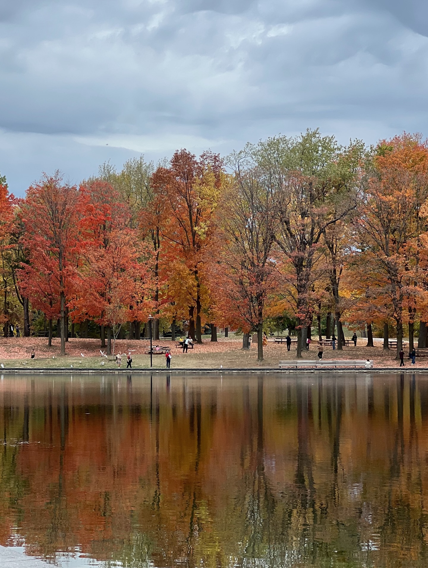 แป้งโกะ - จินตนัดดา ลัมะกานนท์