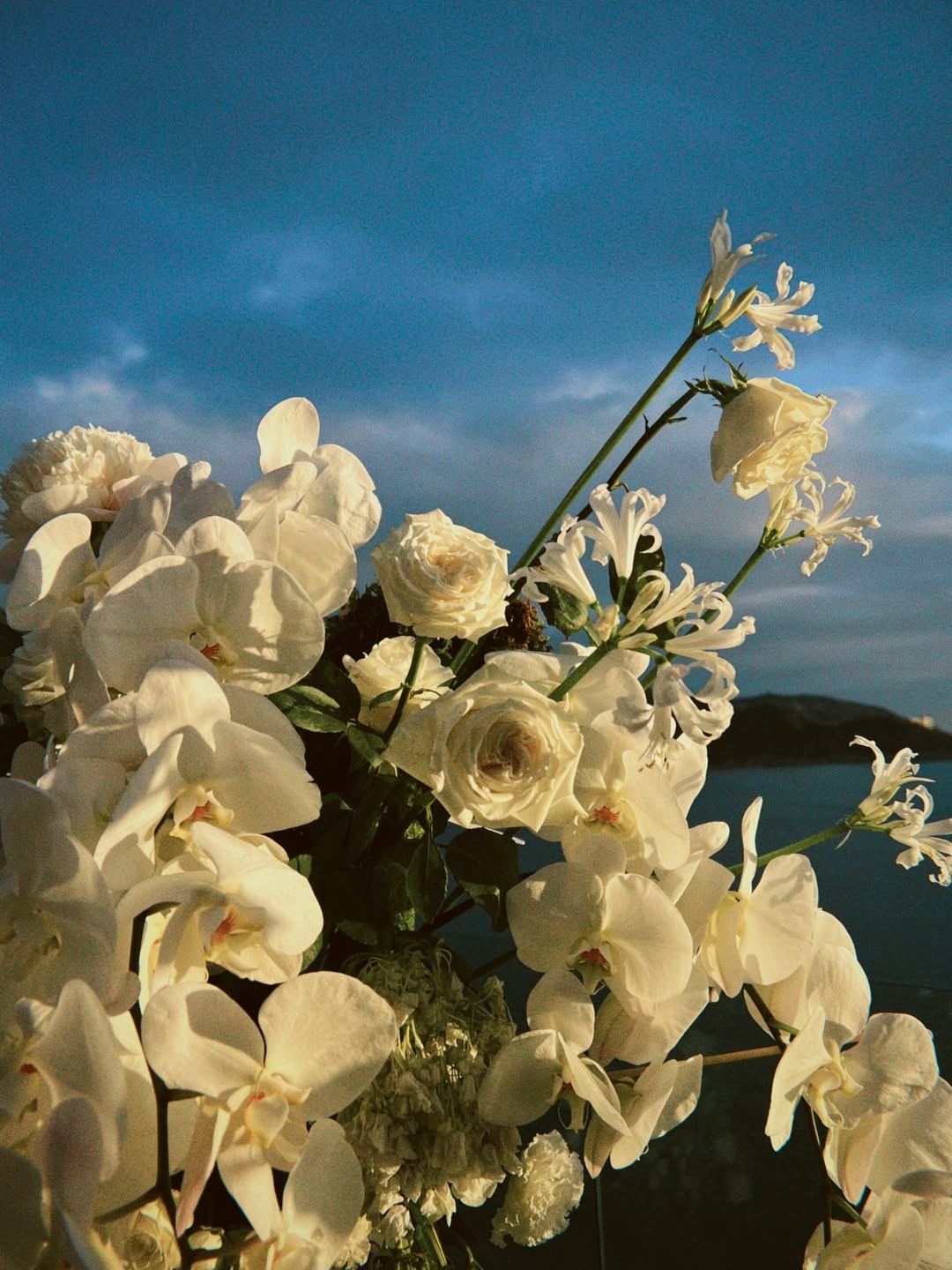 แป้งโกะ - จินตนัดดา ลัมะกานนท์