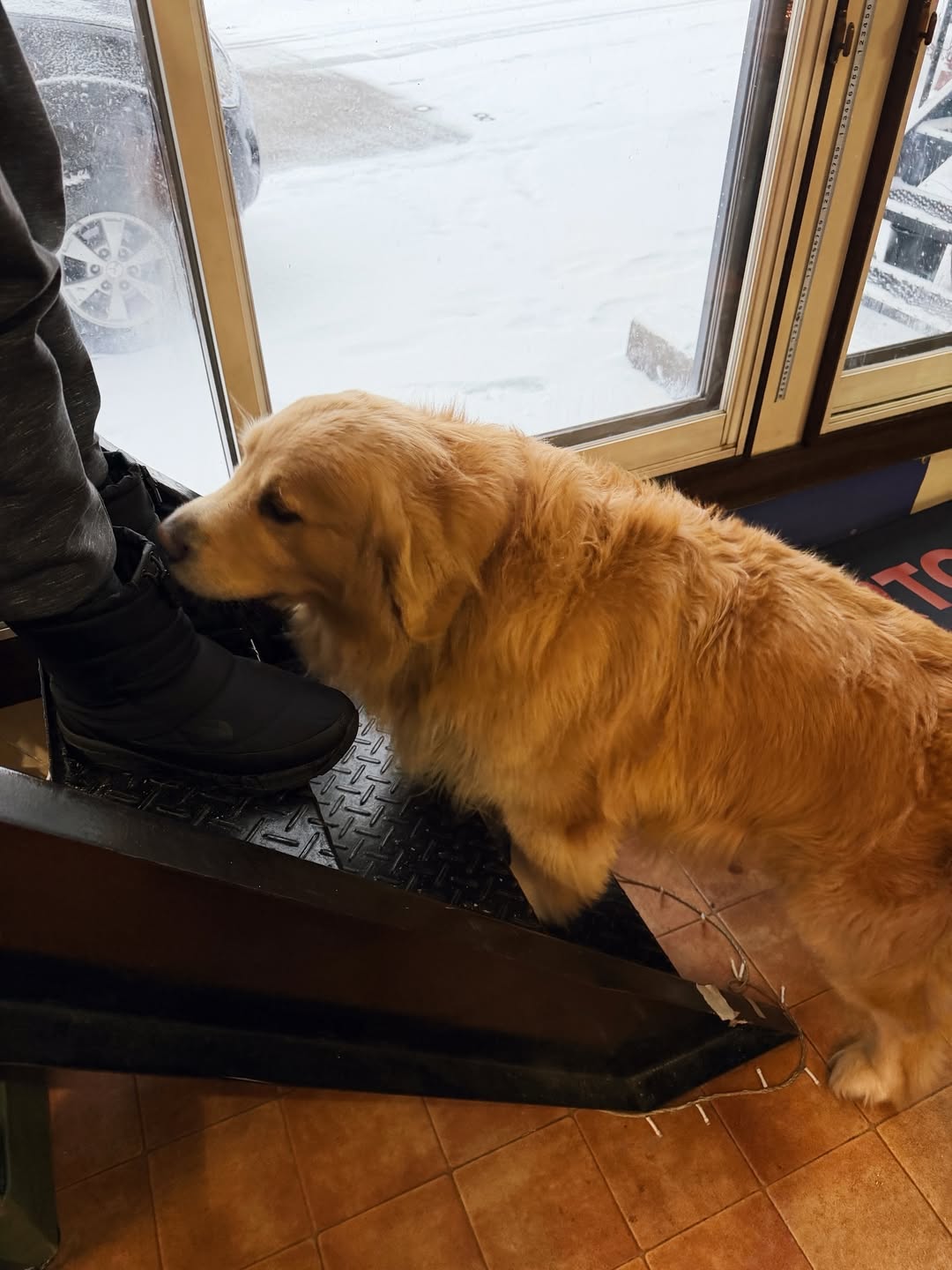 แป้งโกะ - จินตนัดดา ลัมะกานนท์