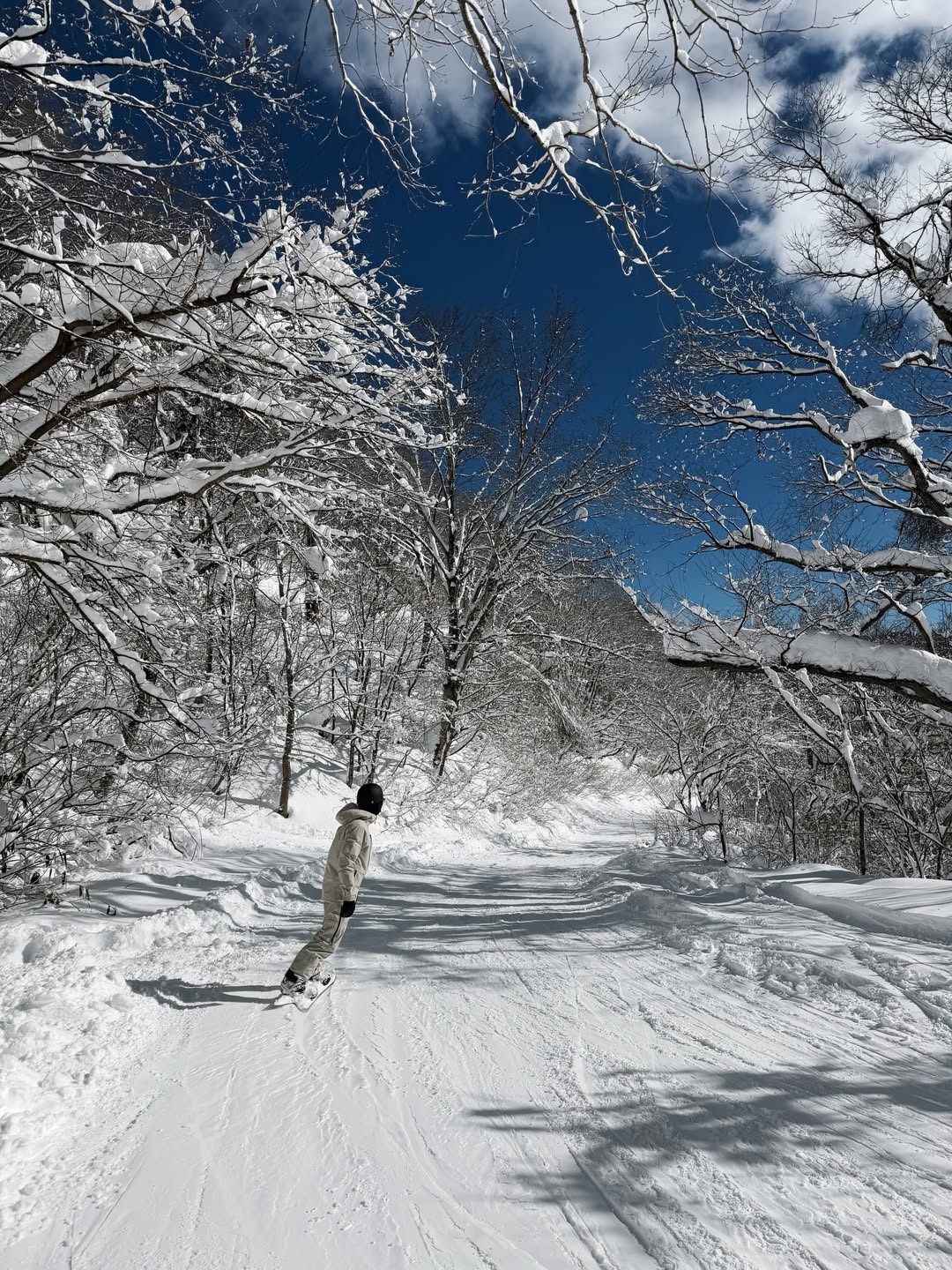 แป้งโกะ - จินตนัดดา ลัมะกานนท์