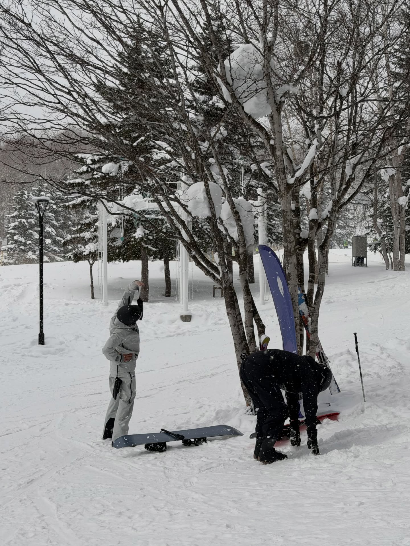 แป้งโกะ - จินตนัดดา ลัมะกานนท์