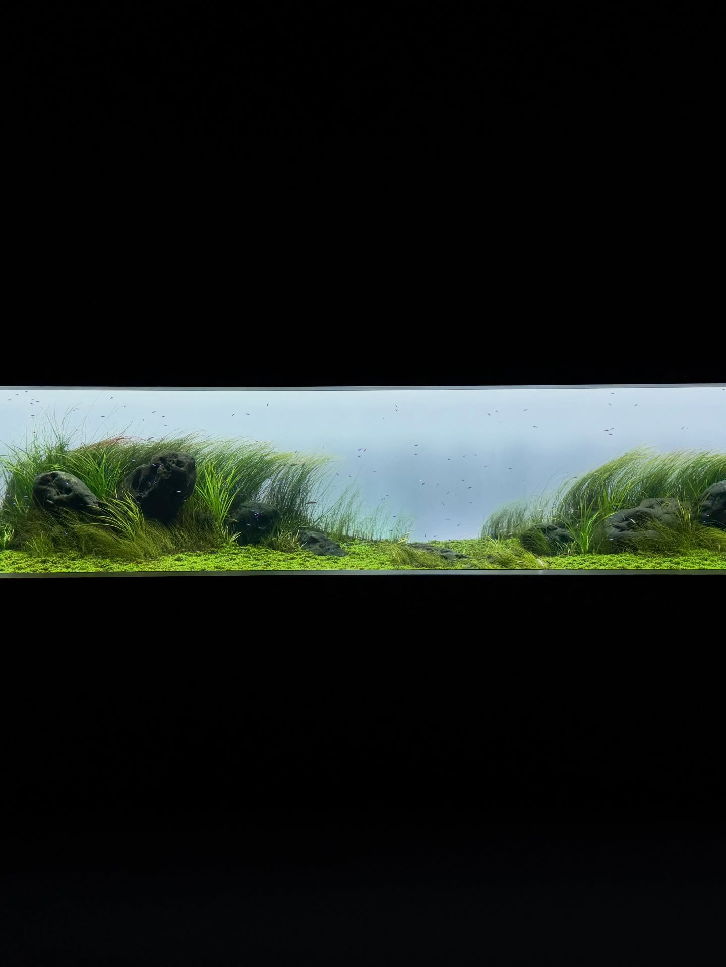 แป้งโกะ - จินตนัดดา ลัมะกานนท์