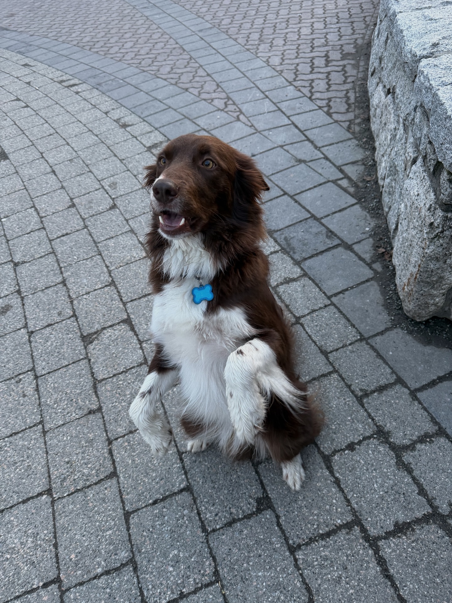 แป้งโกะ - จินตนัดดา ลัมะกานนท์