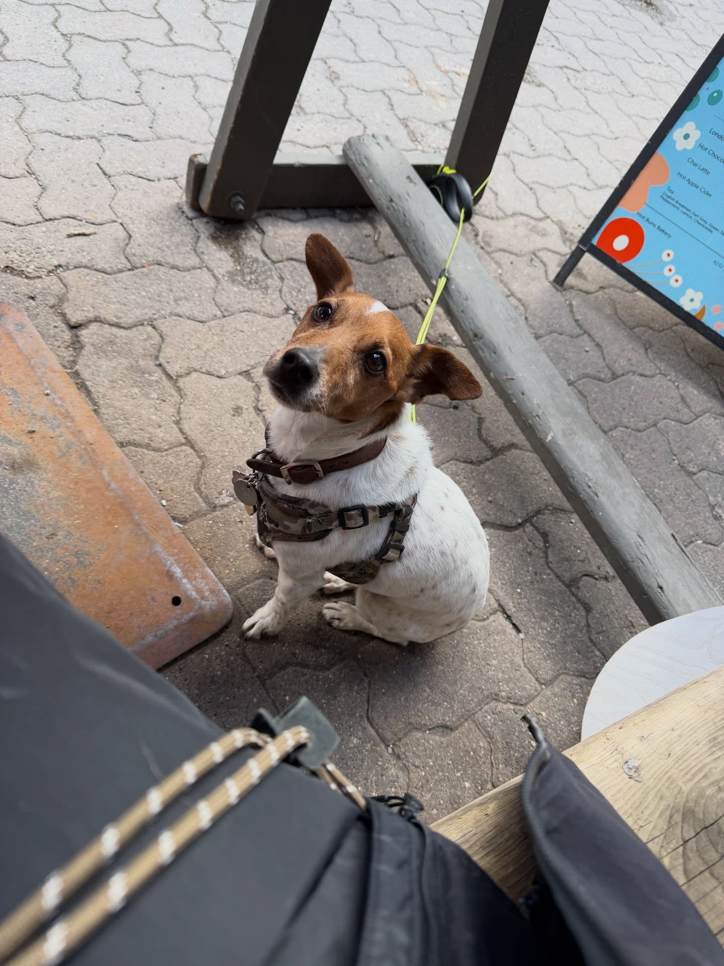 แป้งโกะ - จินตนัดดา ลัมะกานนท์