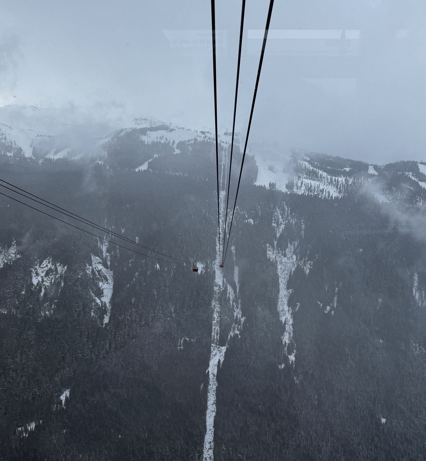 แป้งโกะ - จินตนัดดา ลัมะกานนท์