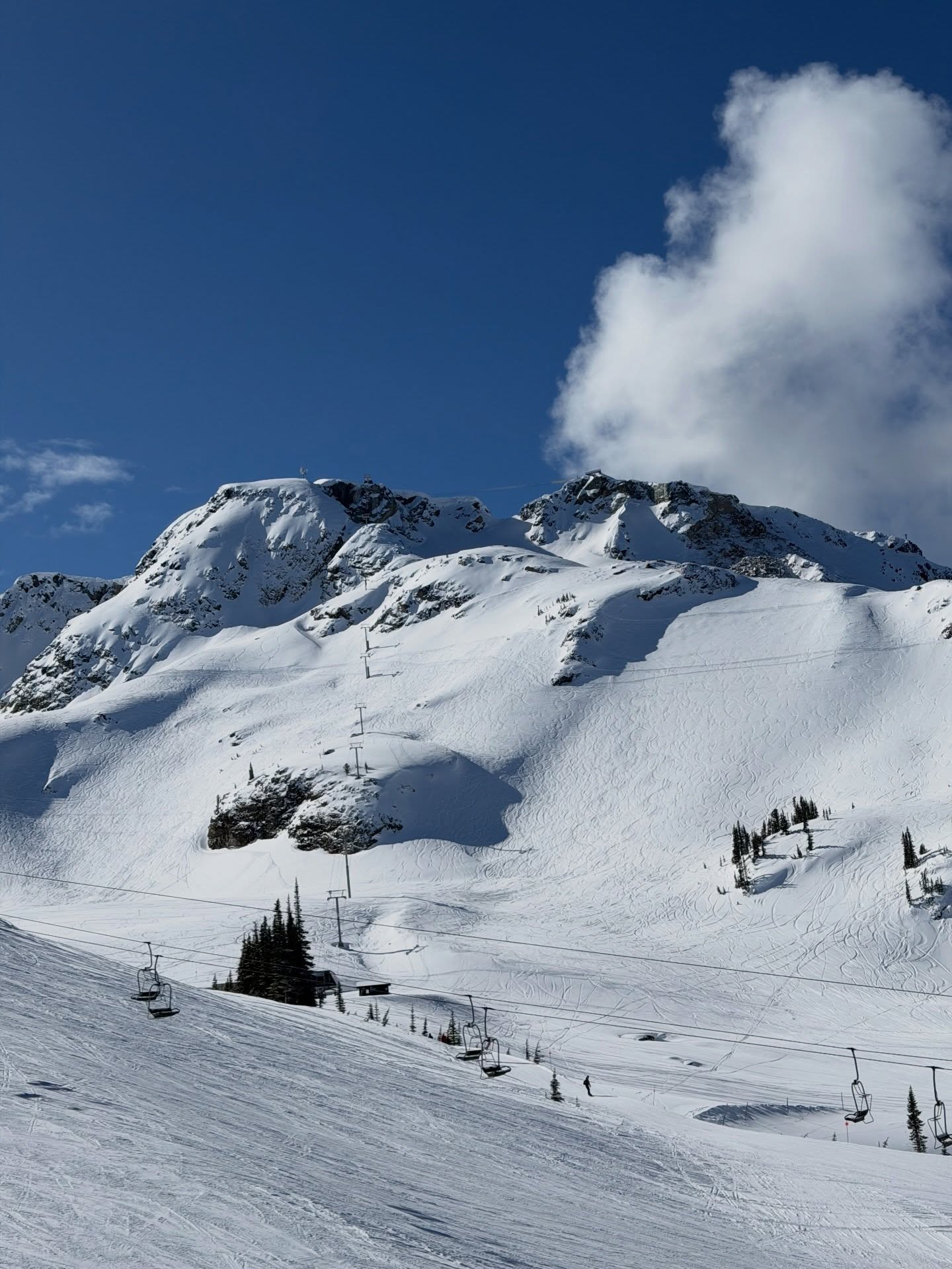 แป้งโกะ - จินตนัดดา ลัมะกานนท์
