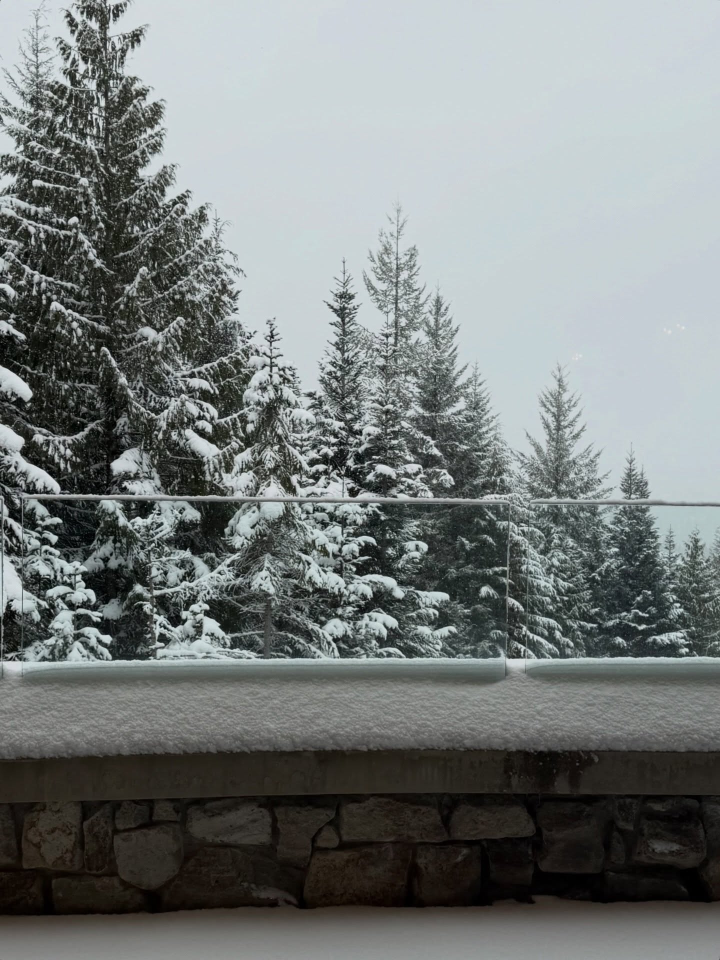 แป้งโกะ - จินตนัดดา ลัมะกานนท์