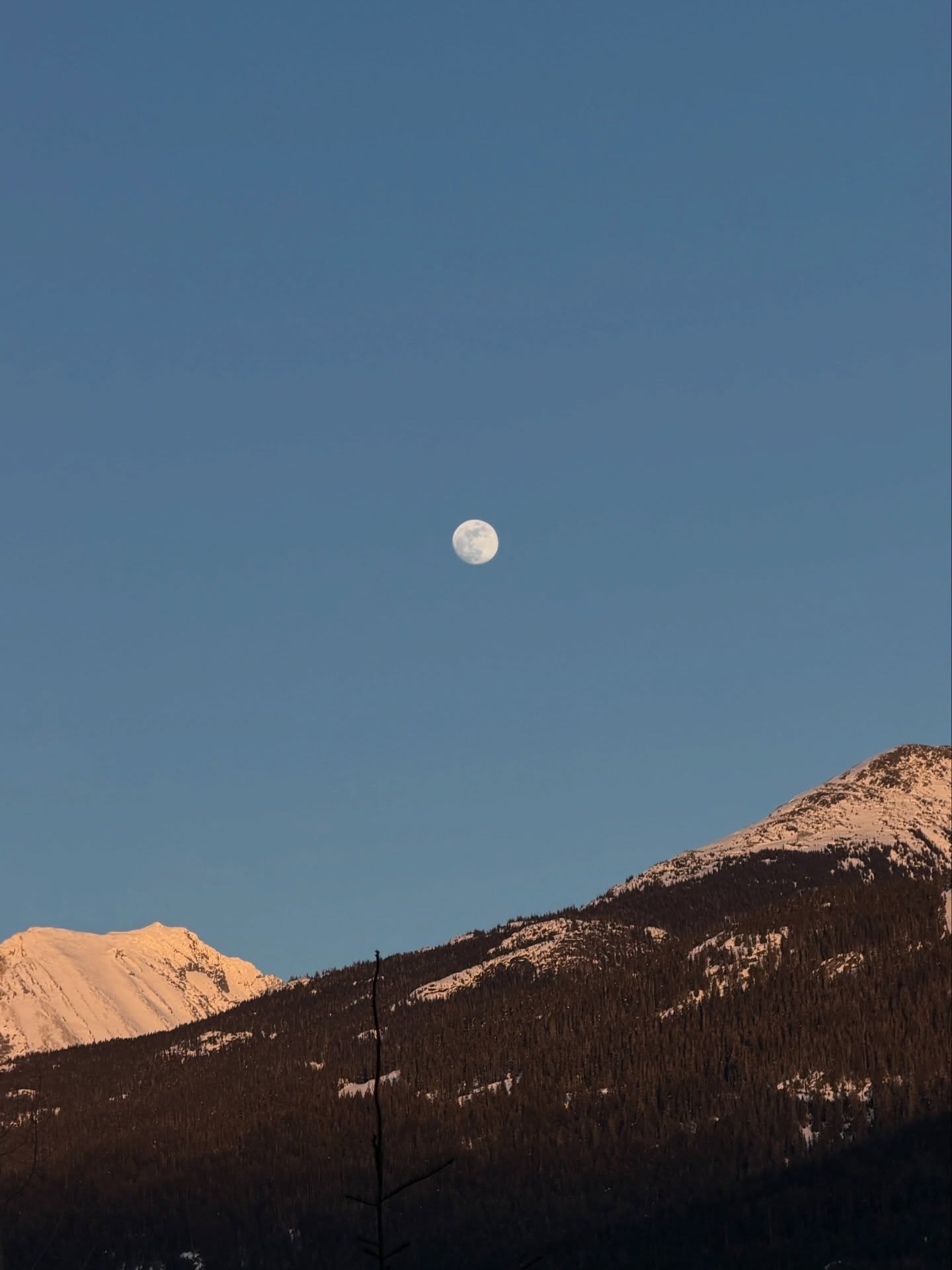 แป้งโกะ - จินตนัดดา ลัมะกานนท์