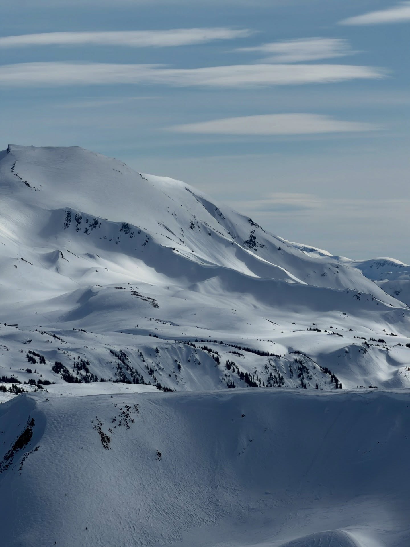 แป้งโกะ - จินตนัดดา ลัมะกานนท์