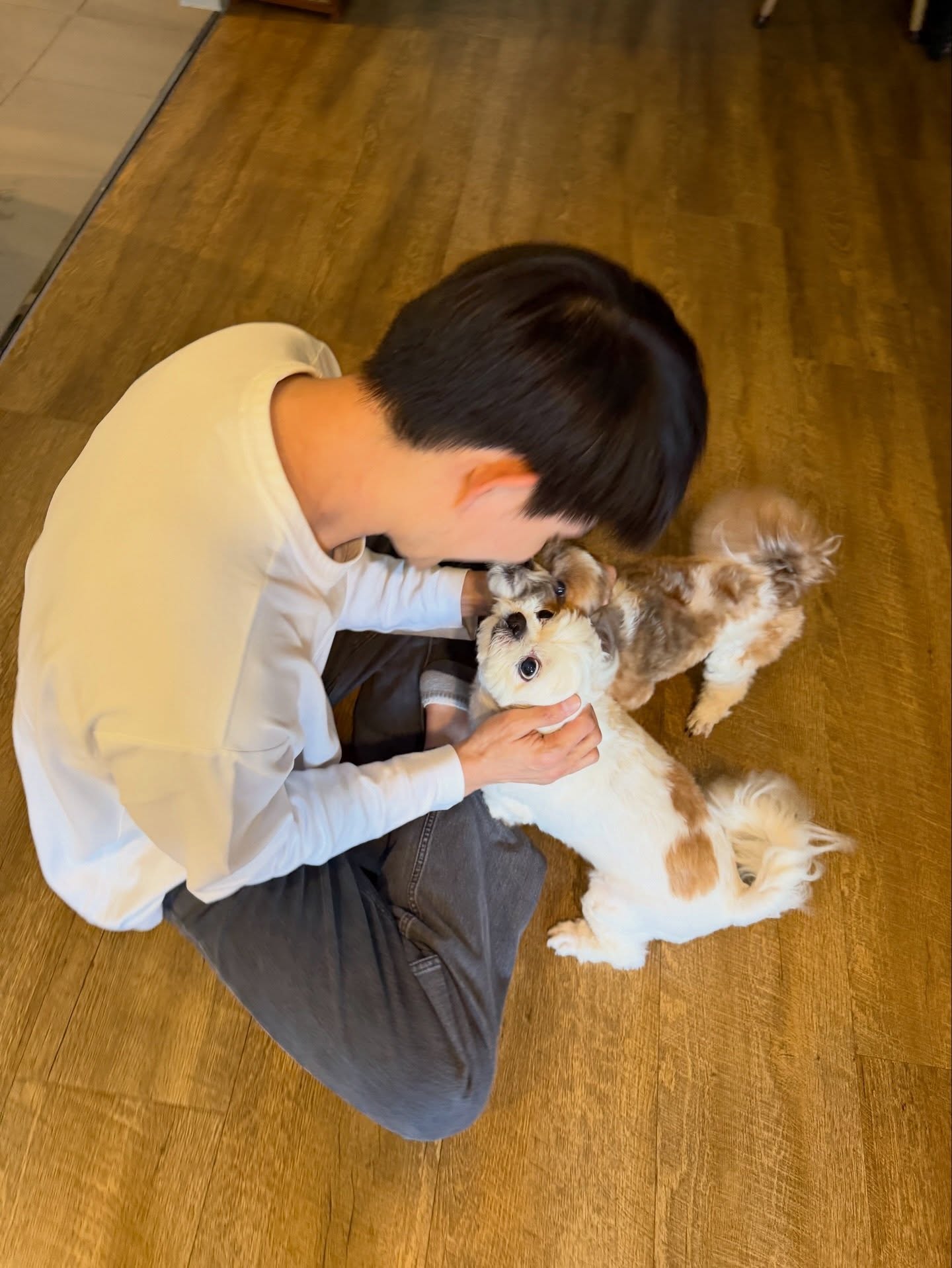 แป้งโกะ - จินตนัดดา ลัมะกานนท์