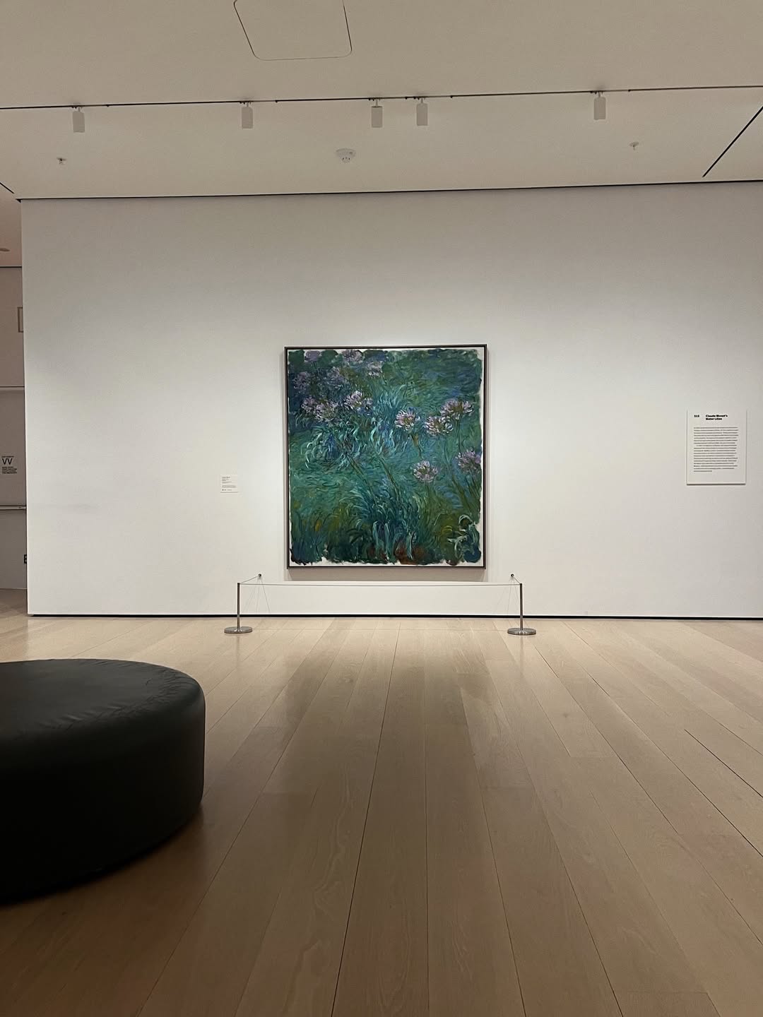 แป้งโกะ - จินตนัดดา ลัมะกานนท์