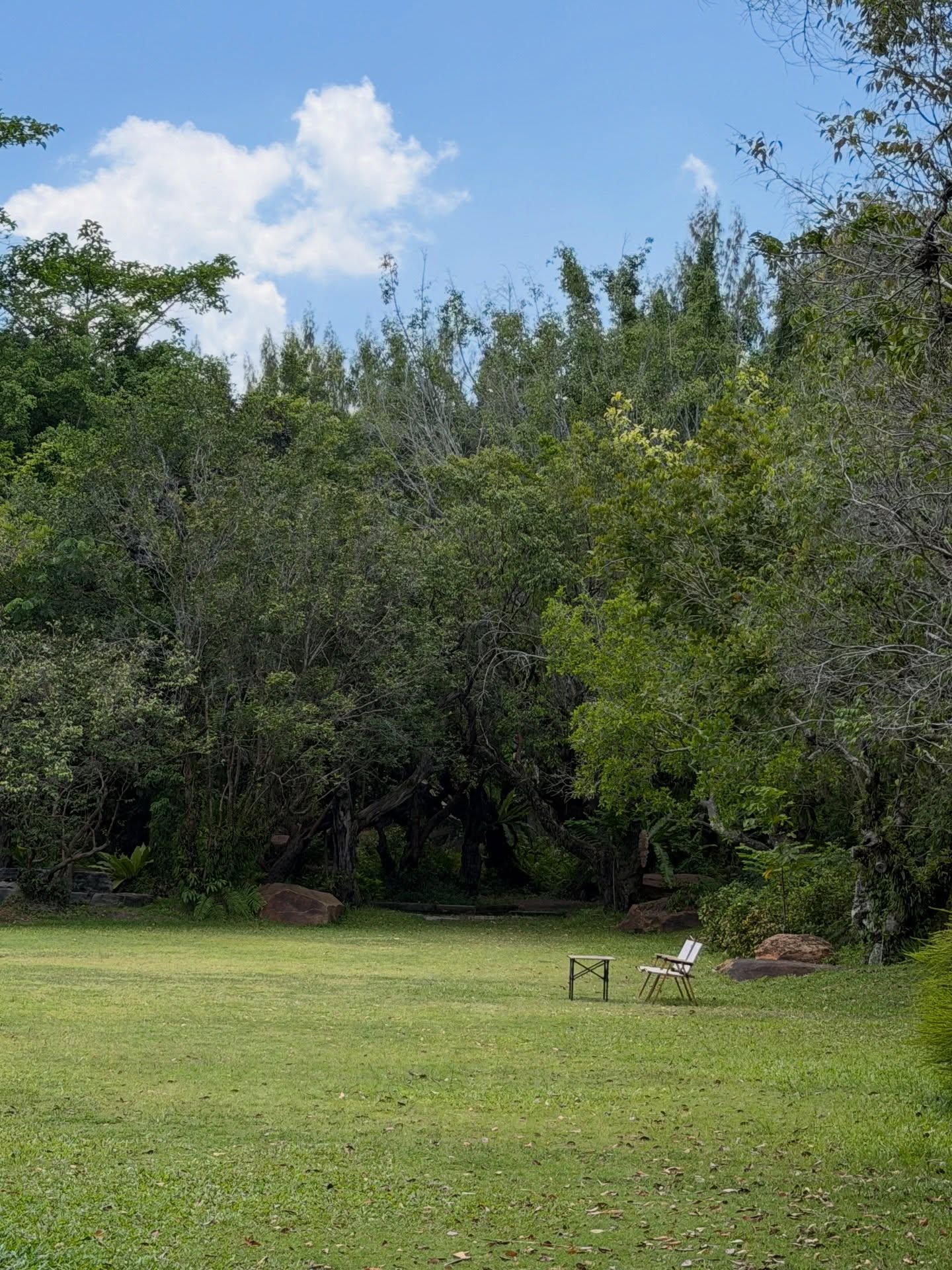 แป้งโกะ - จินตนัดดา ลัมะกานนท์