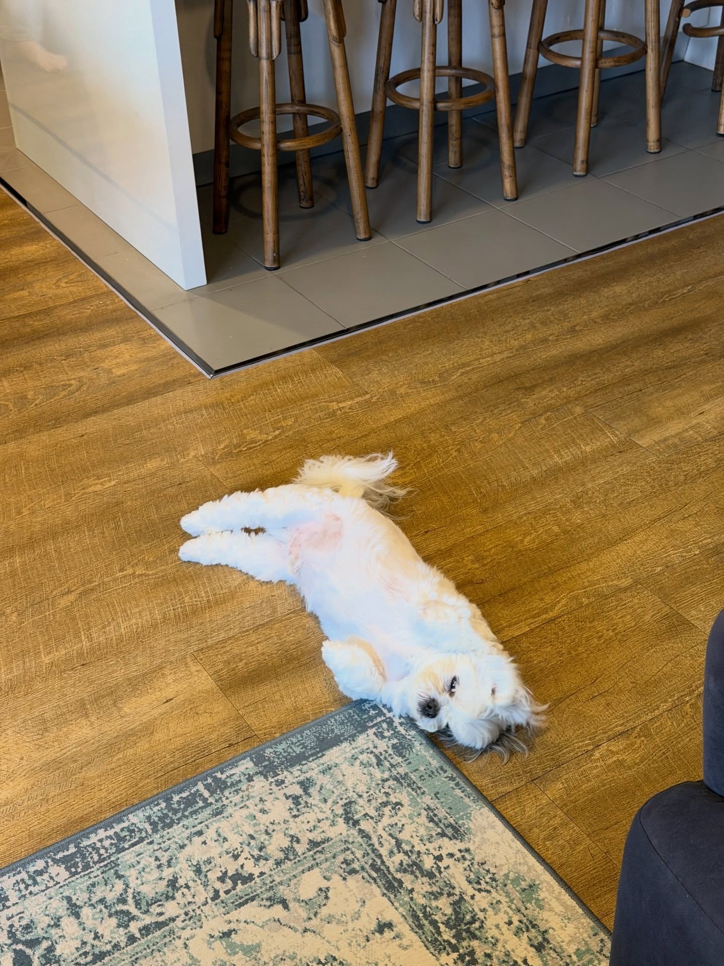 แป้งโกะ - จินตนัดดา ลัมะกานนท์