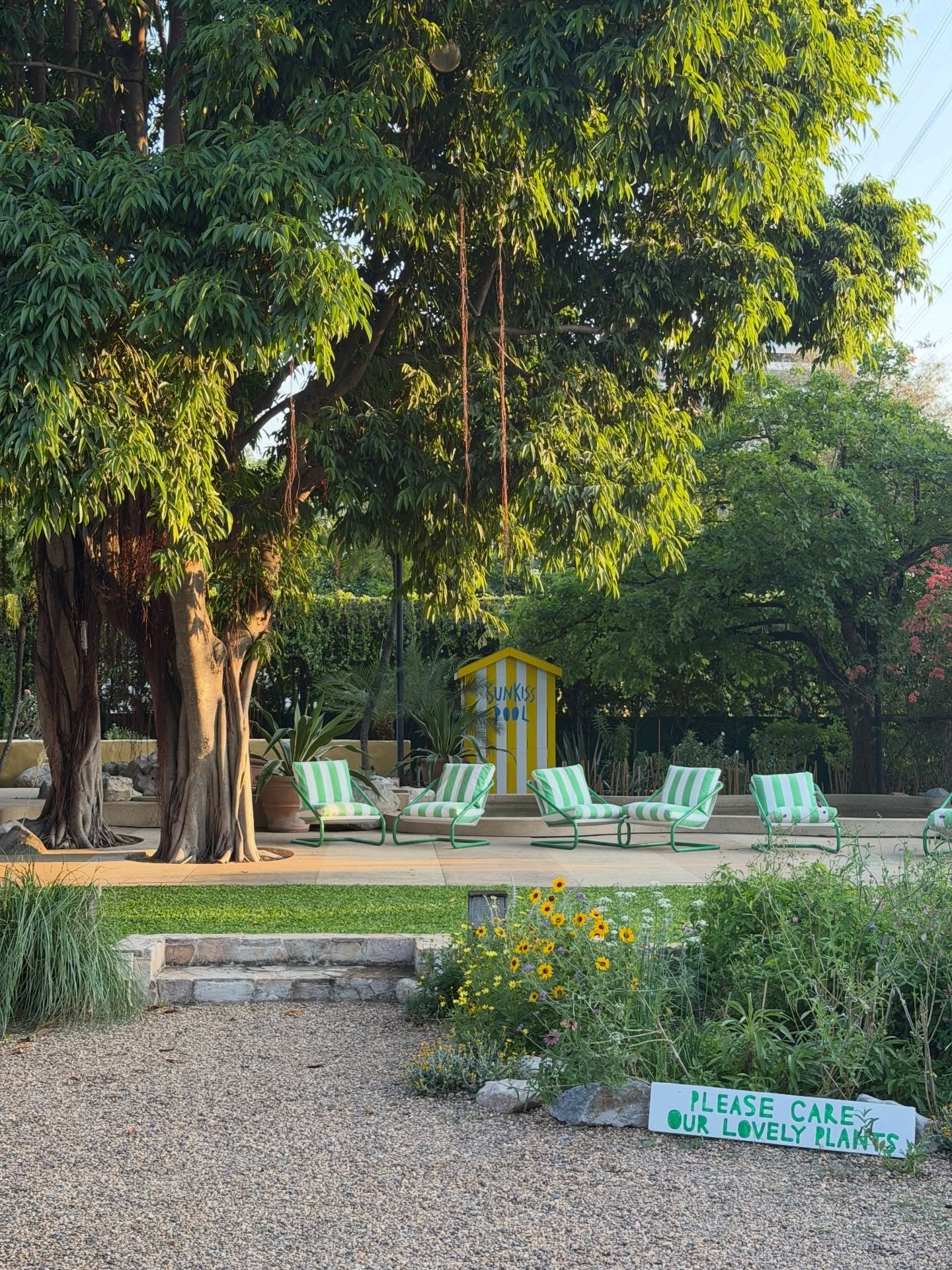 แป้งโกะ - จินตนัดดา ลัมะกานนท์