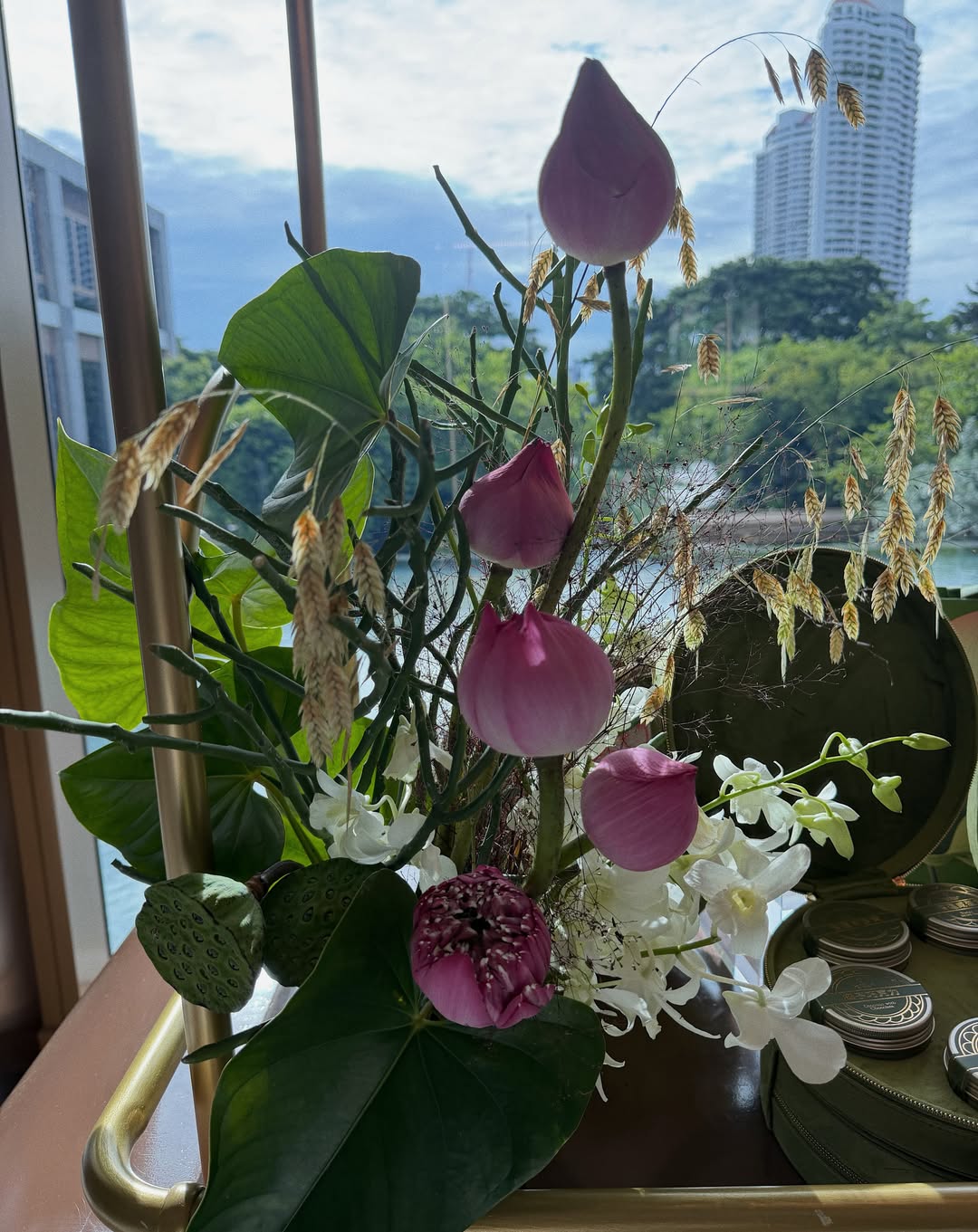 แป้งโกะ - จินตนัดดา ลัมะกานนท์