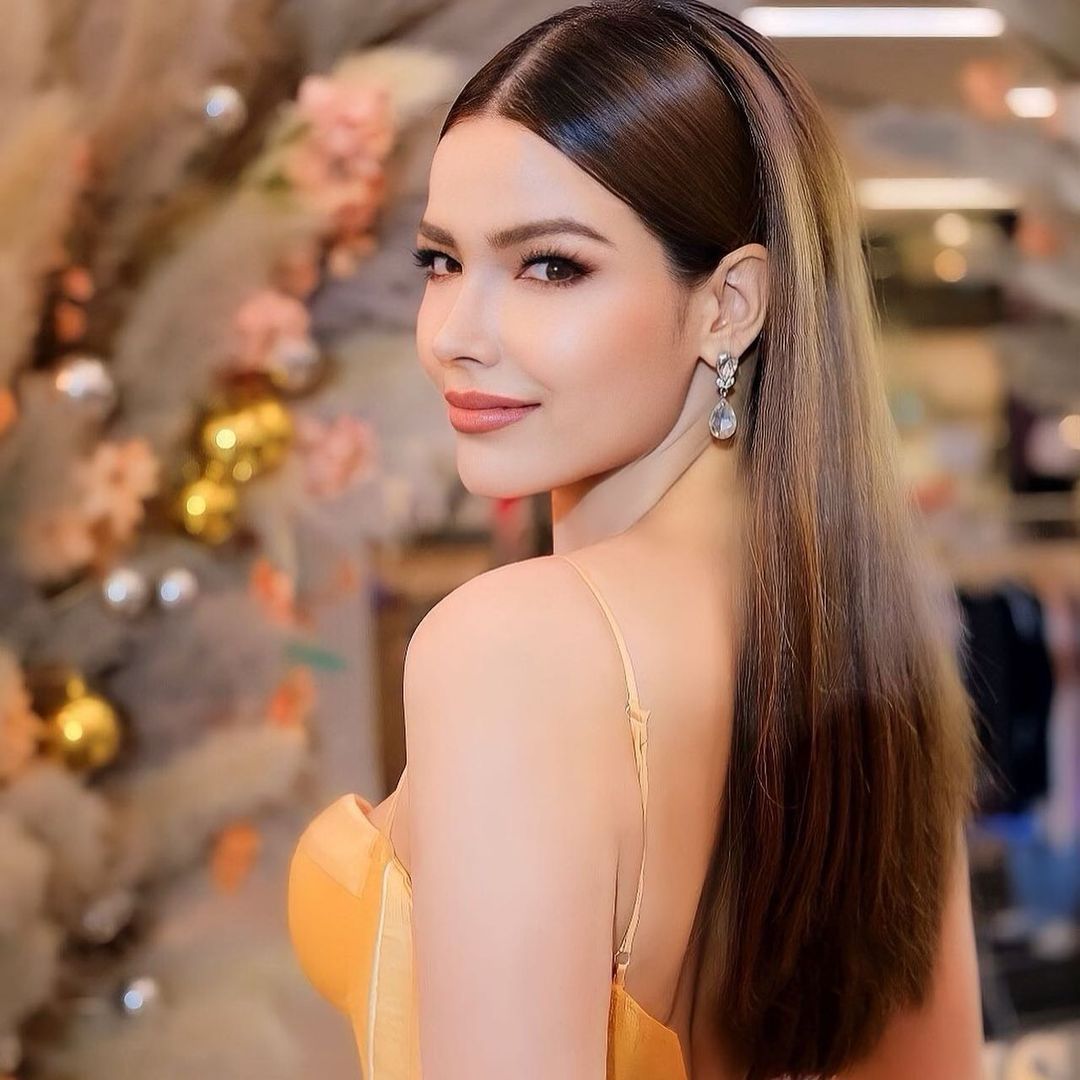 ฟ้าใส - ปวีณสุดา ดรูอิ้น