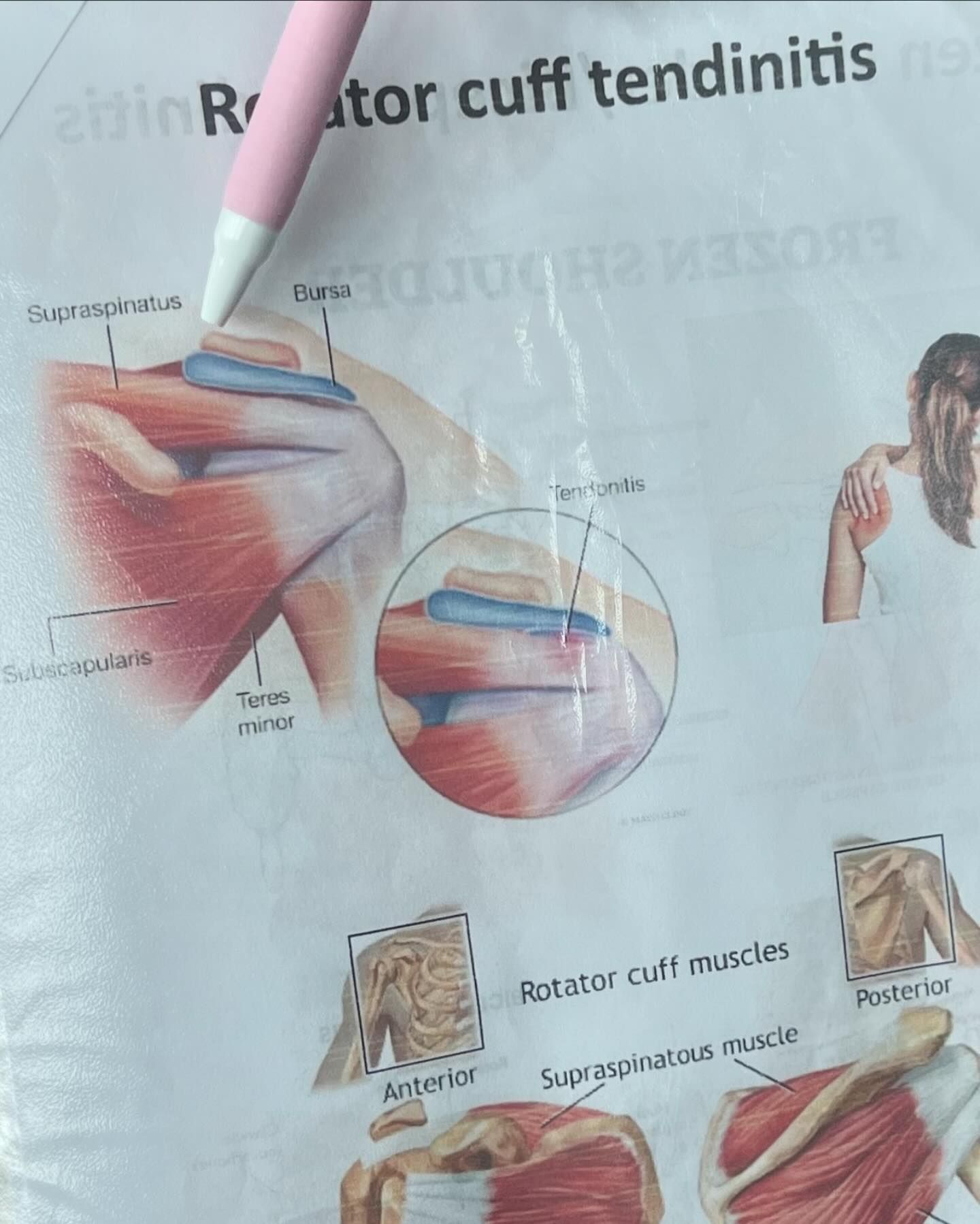 ไมค์ - ชินรัฐ สิริพงษ์ชวลิต