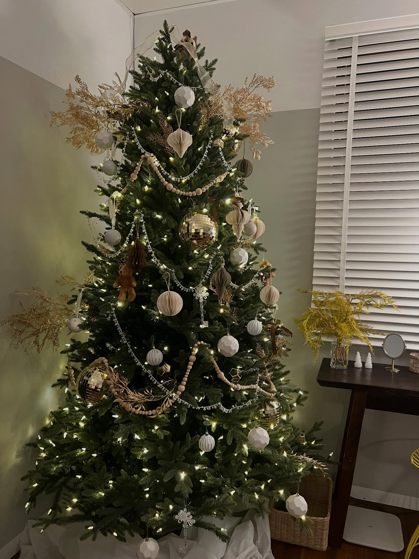 ไมค์ - ชินรัฐ สิริพงษ์ชวลิต