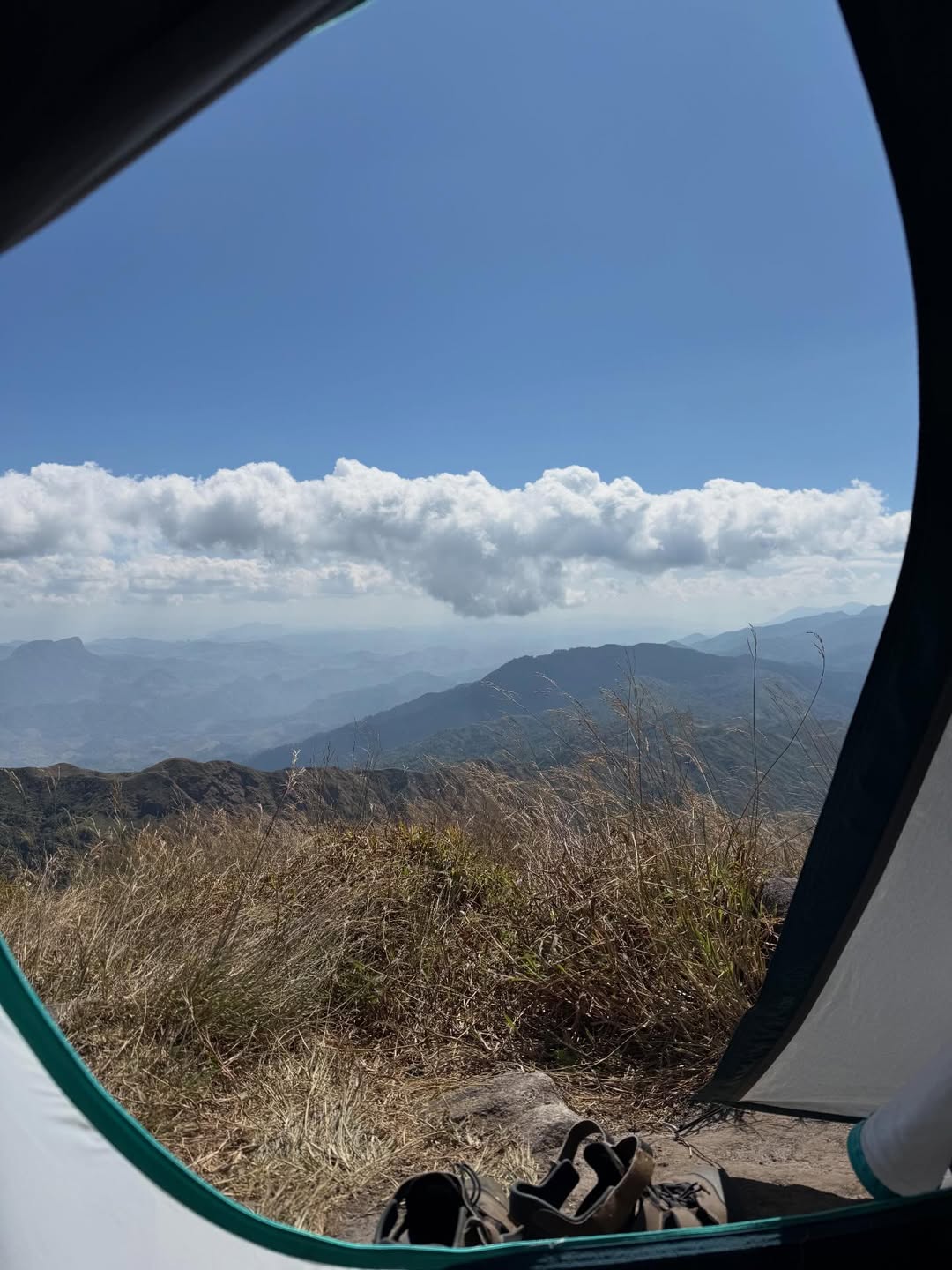 ไมค์ - ชินรัฐ สิริพงษ์ชวลิต