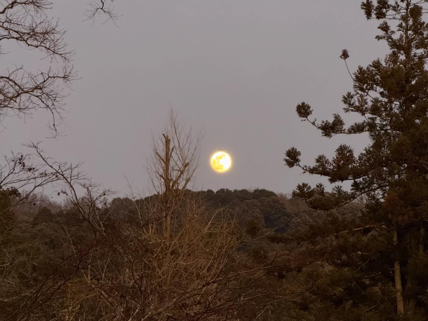 ไมค์ - ชินรัฐ สิริพงษ์ชวลิต