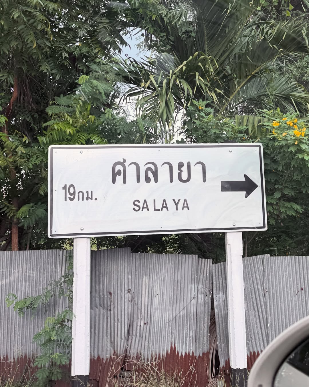 โบกี้ - พิชญ์สินี วีระสุทธิมาศ