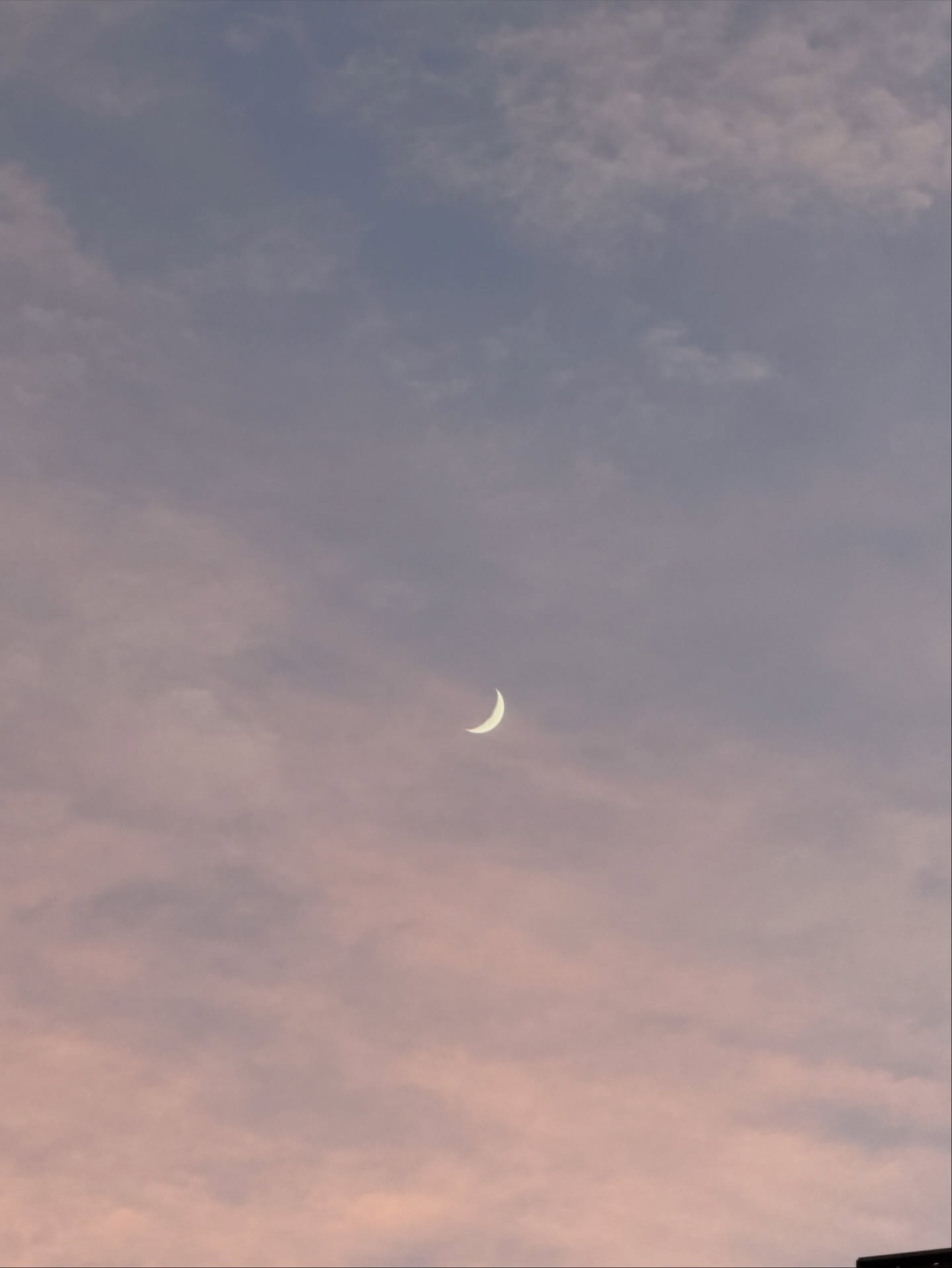 โบกี้ - พิชญ์สินี วีระสุทธิมาศ