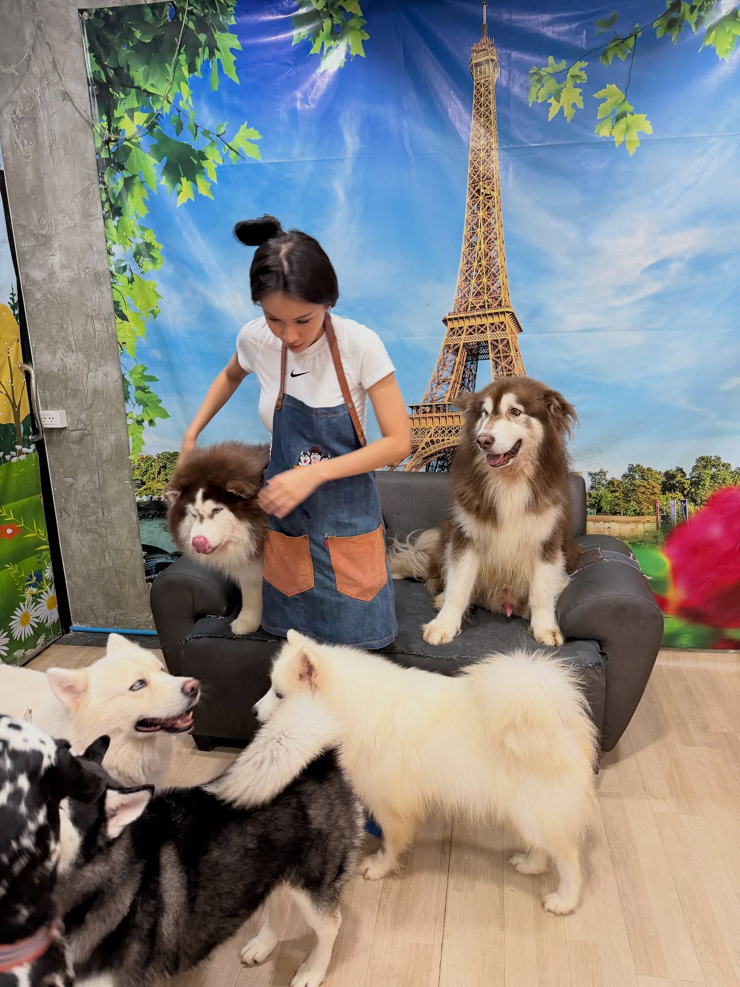 โบกี้ - พิชญ์สินี วีระสุทธิมาศ