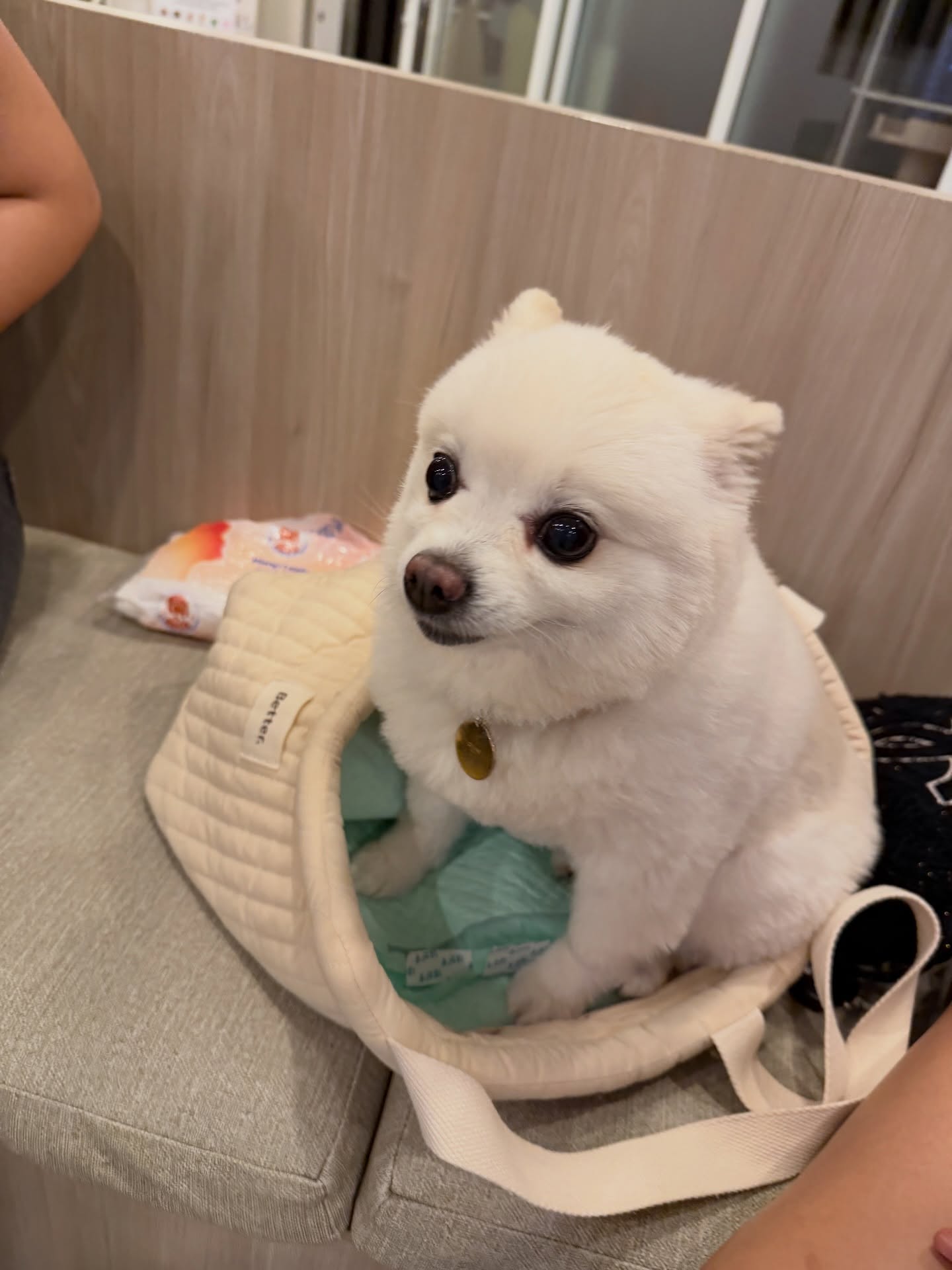 โบกี้ - พิชญ์สินี วีระสุทธิมาศ