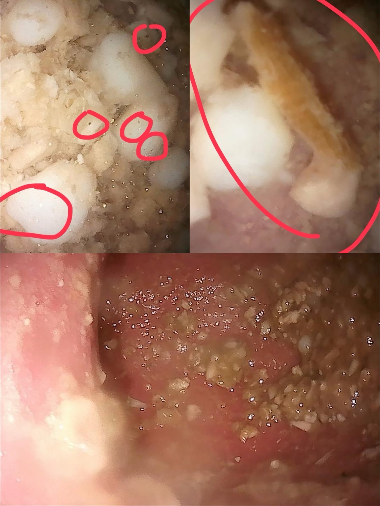 โบกี้ - พิชญ์สินี วีระสุทธิมาศ