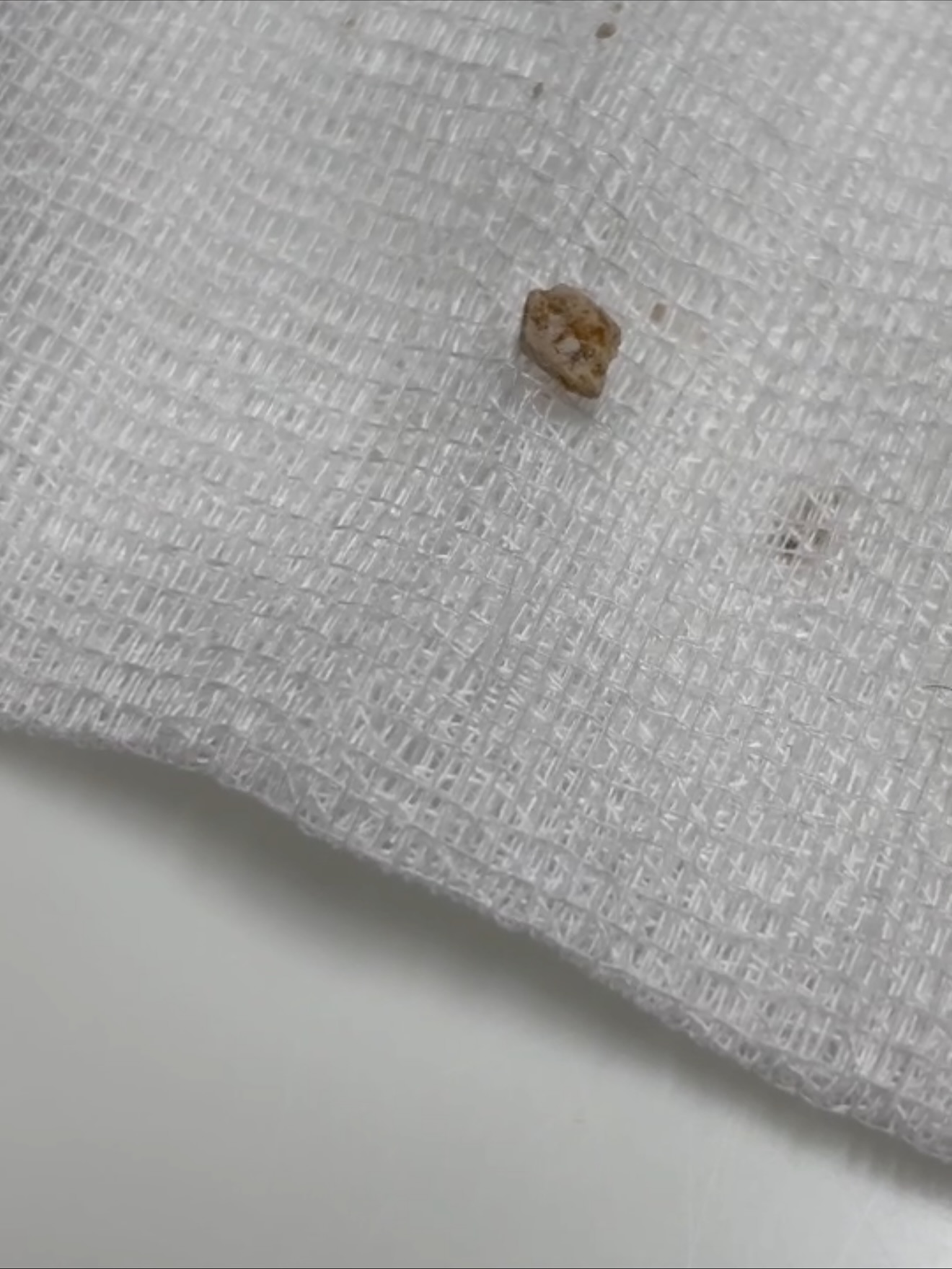 โบกี้ - พิชญ์สินี วีระสุทธิมาศ