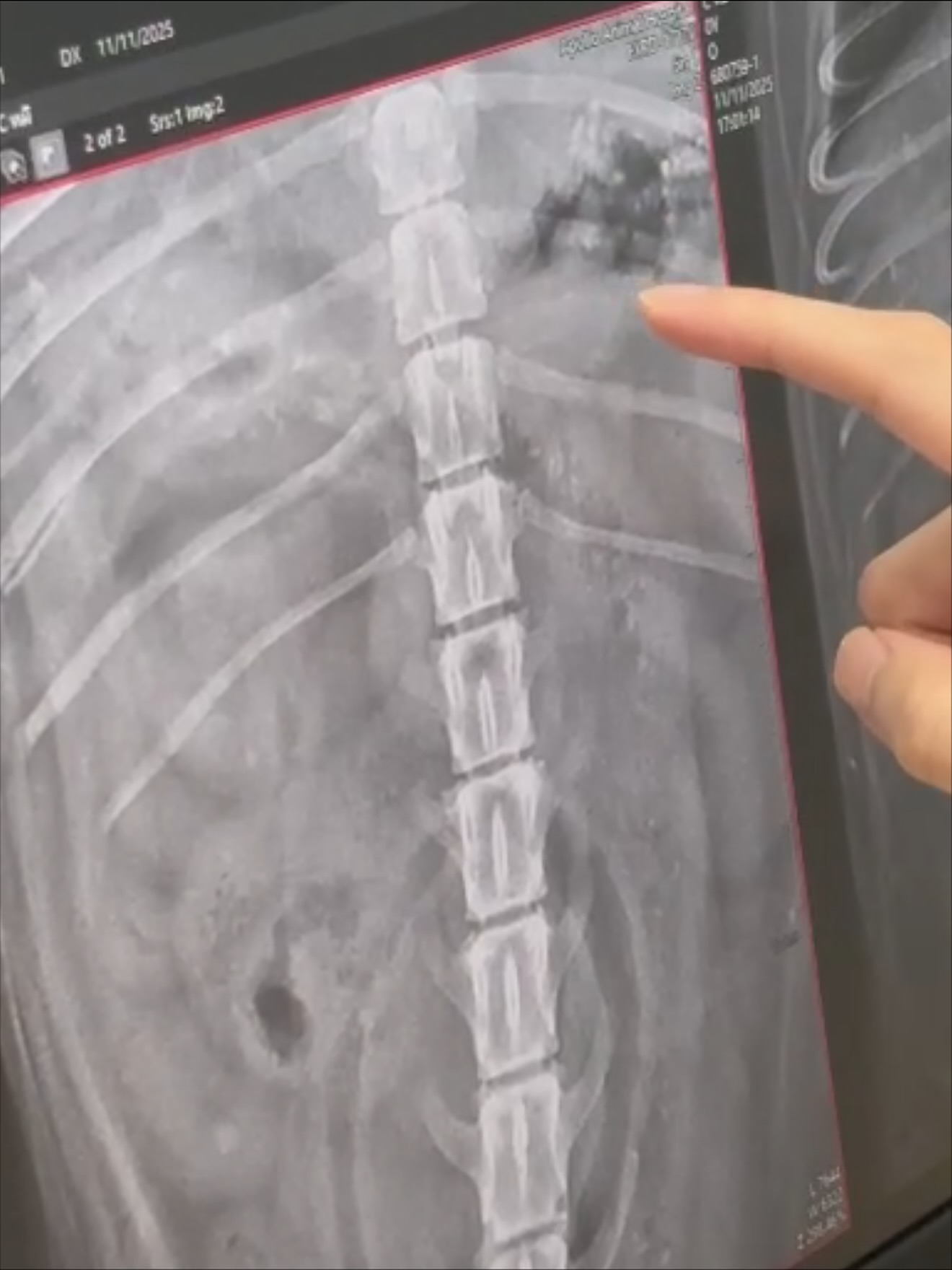 โบกี้ - พิชญ์สินี วีระสุทธิมาศ