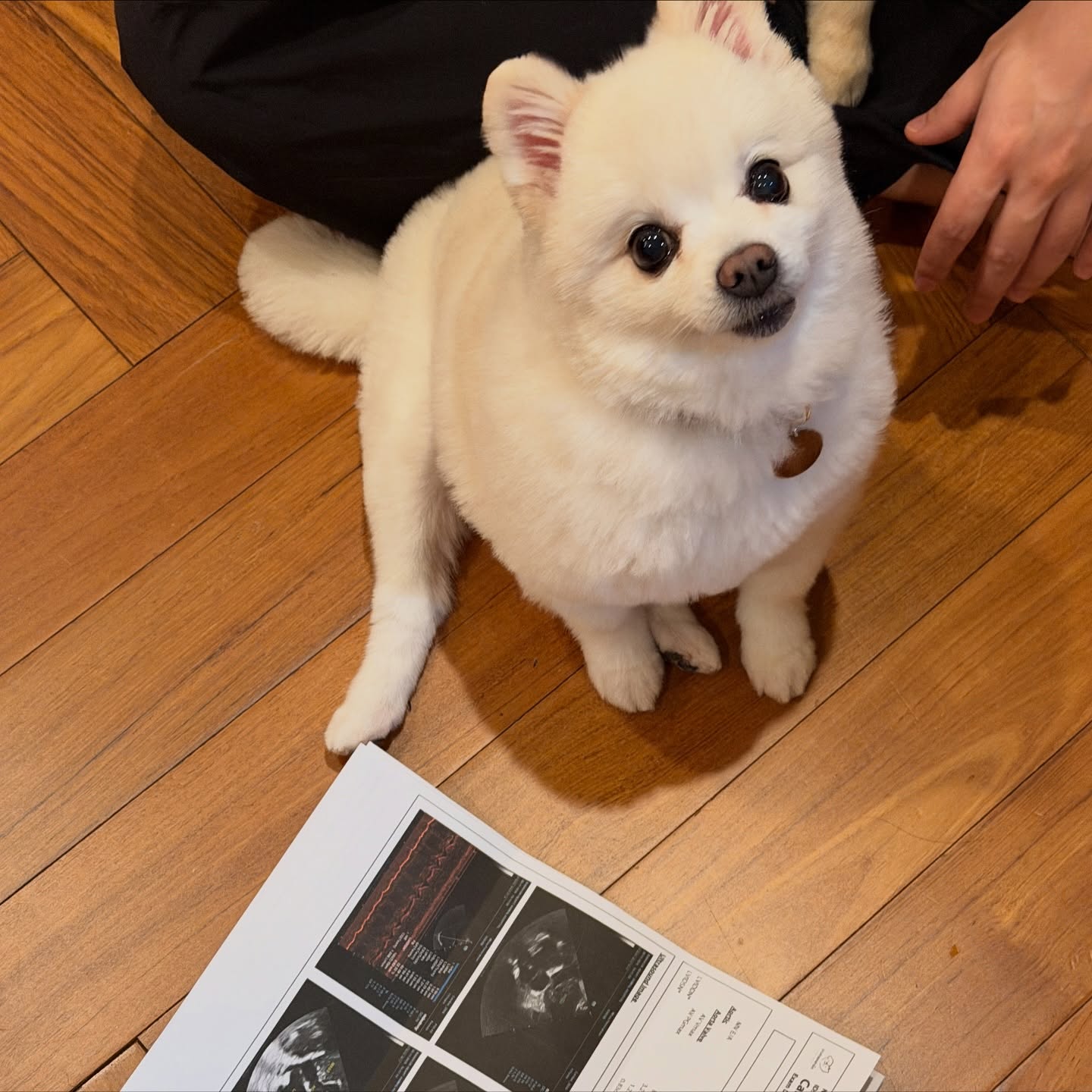 โบกี้ - พิชญ์สินี วีระสุทธิมาศ