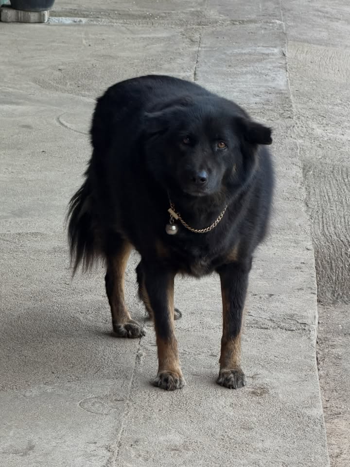 โบกี้ - พิชญ์สินี วีระสุทธิมาศ