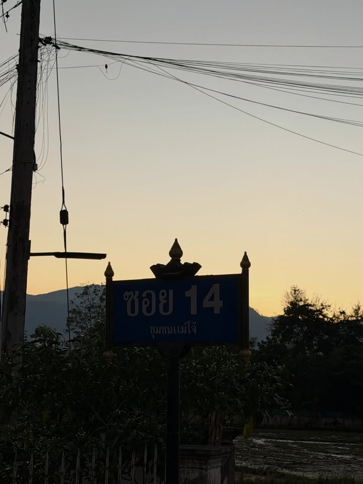 โบกี้ - พิชญ์สินี วีระสุทธิมาศ