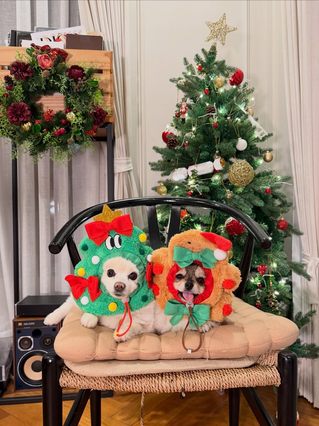 โบกี้ - พิชญ์สินี วีระสุทธิมาศ