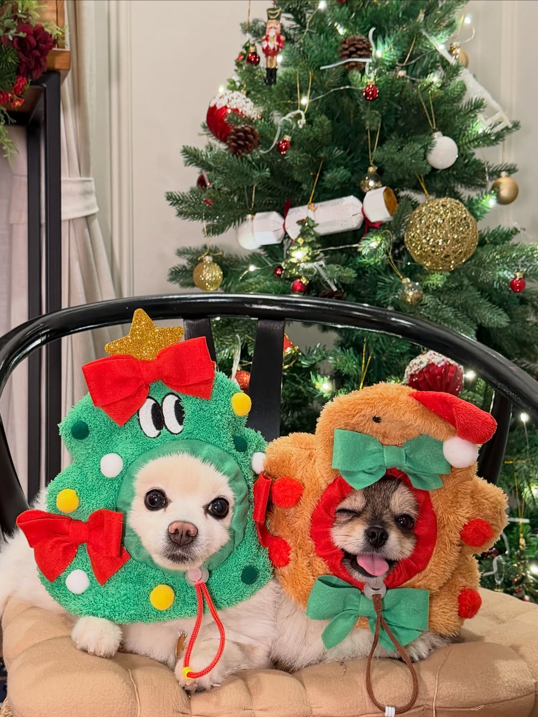 โบกี้ - พิชญ์สินี วีระสุทธิมาศ