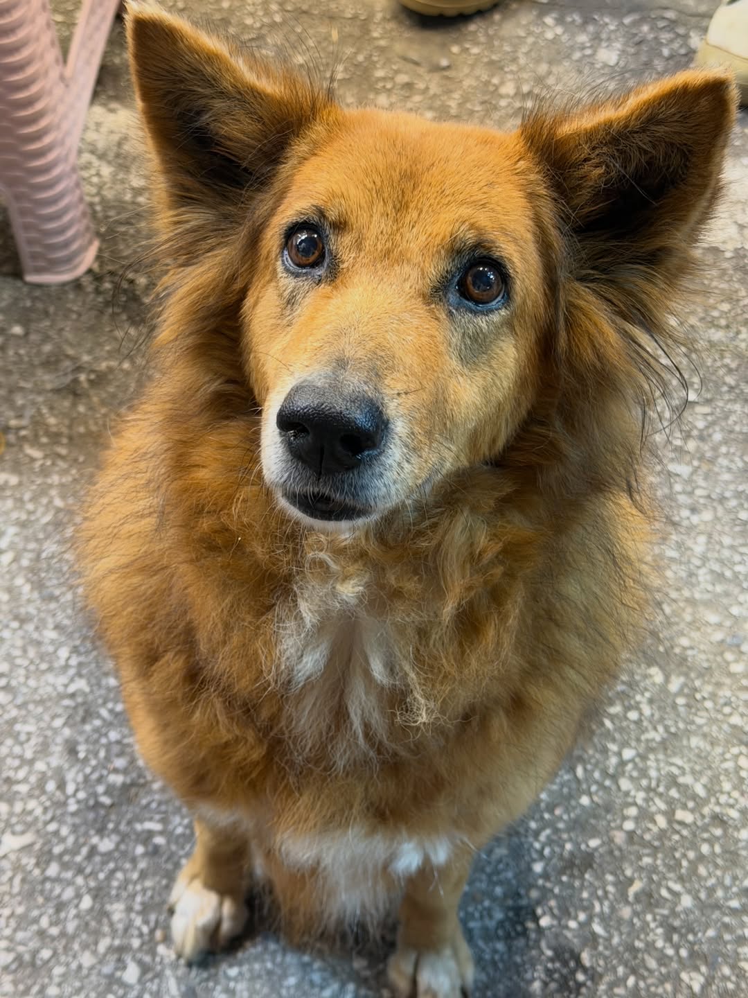 โบกี้ - พิชญ์สินี วีระสุทธิมาศ