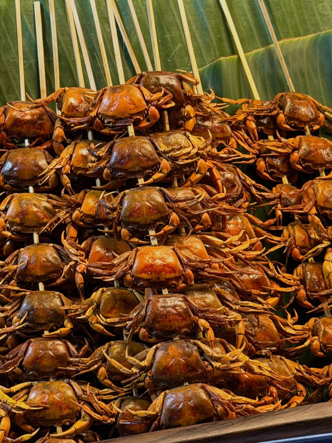 โบกี้ - พิชญ์สินี วีระสุทธิมาศ