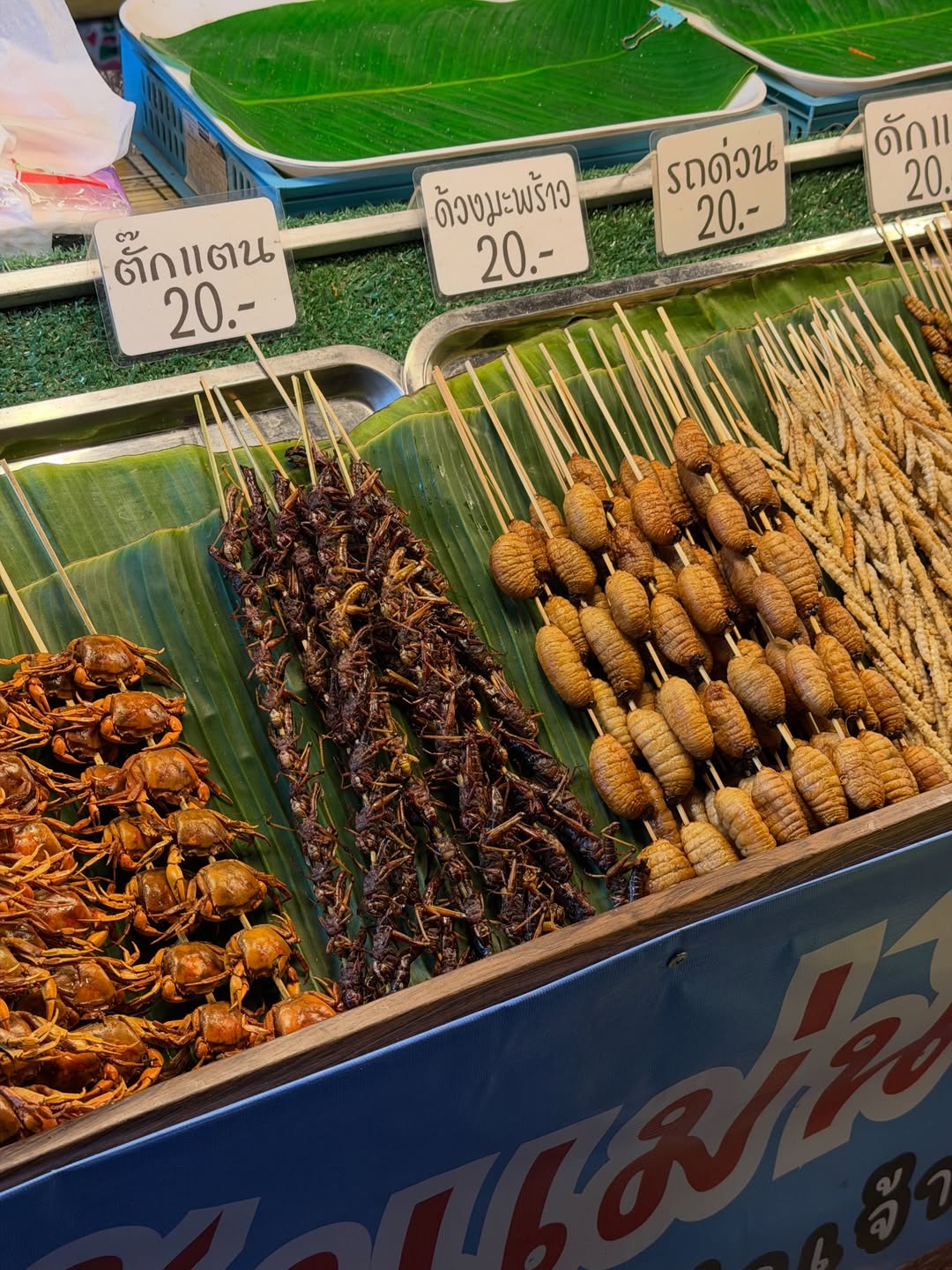 โบกี้ - พิชญ์สินี วีระสุทธิมาศ