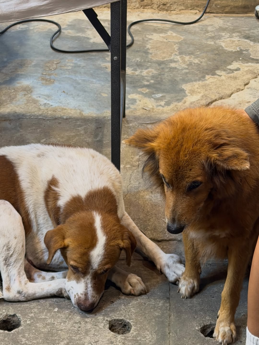 โบกี้ - พิชญ์สินี วีระสุทธิมาศ